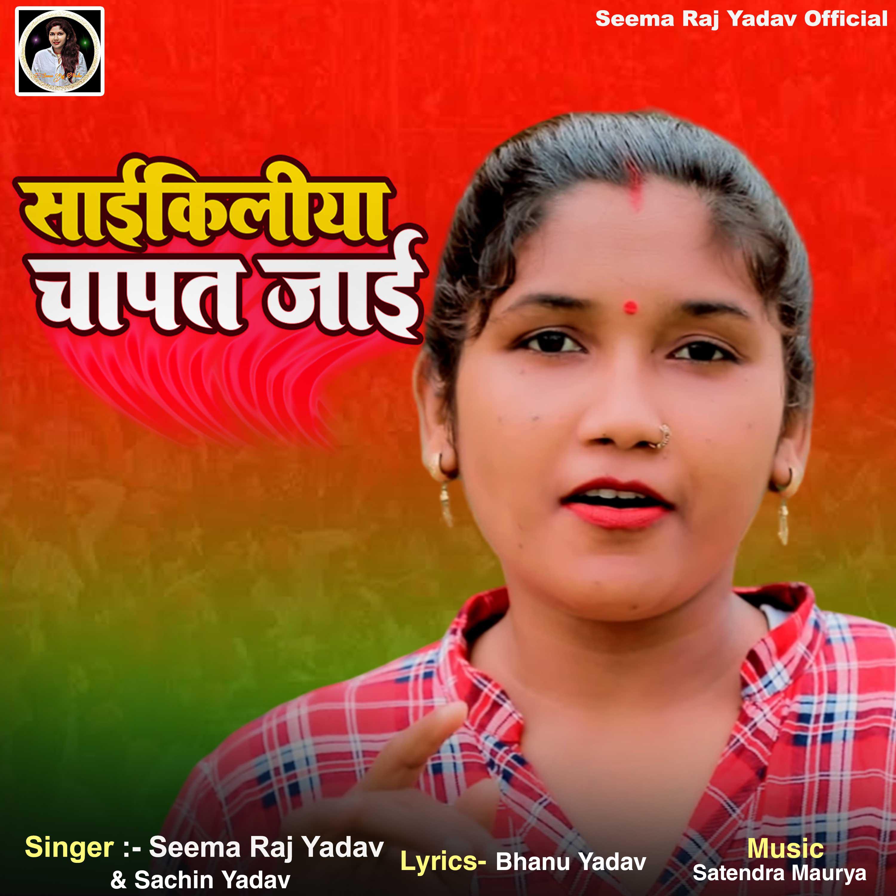 Постер альбома Saaikiliya Chapat Jaai