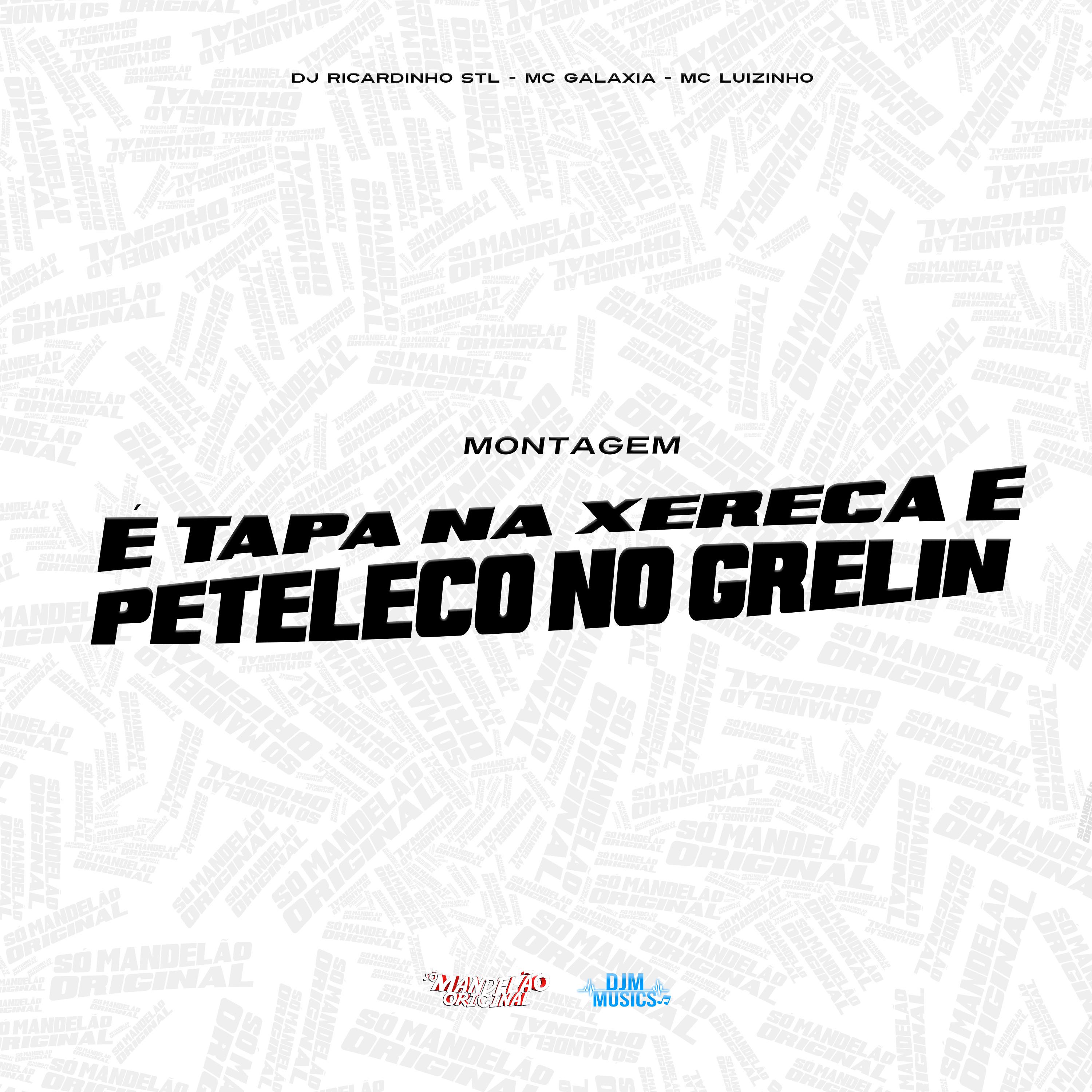 Постер альбома Mt É Tapa na Xereca e Peteleco no Grelin