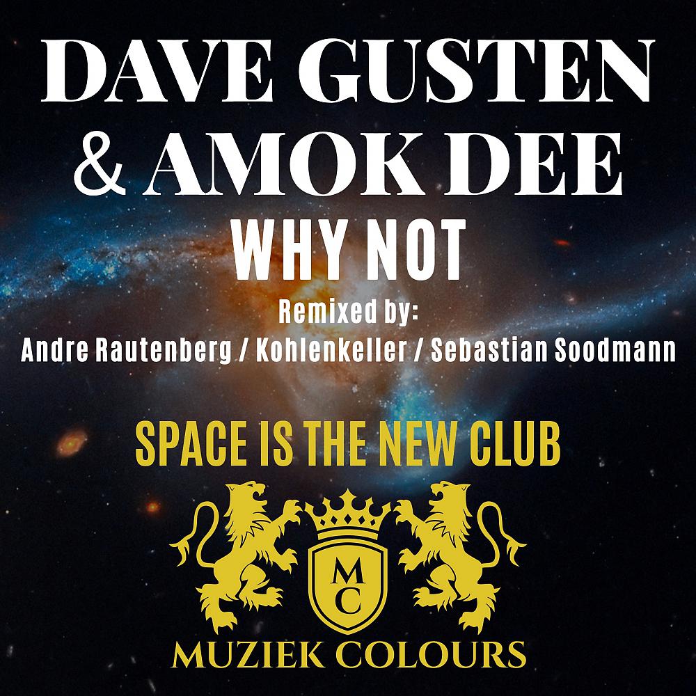 Постер альбома Why Not (Space Is The New Club)