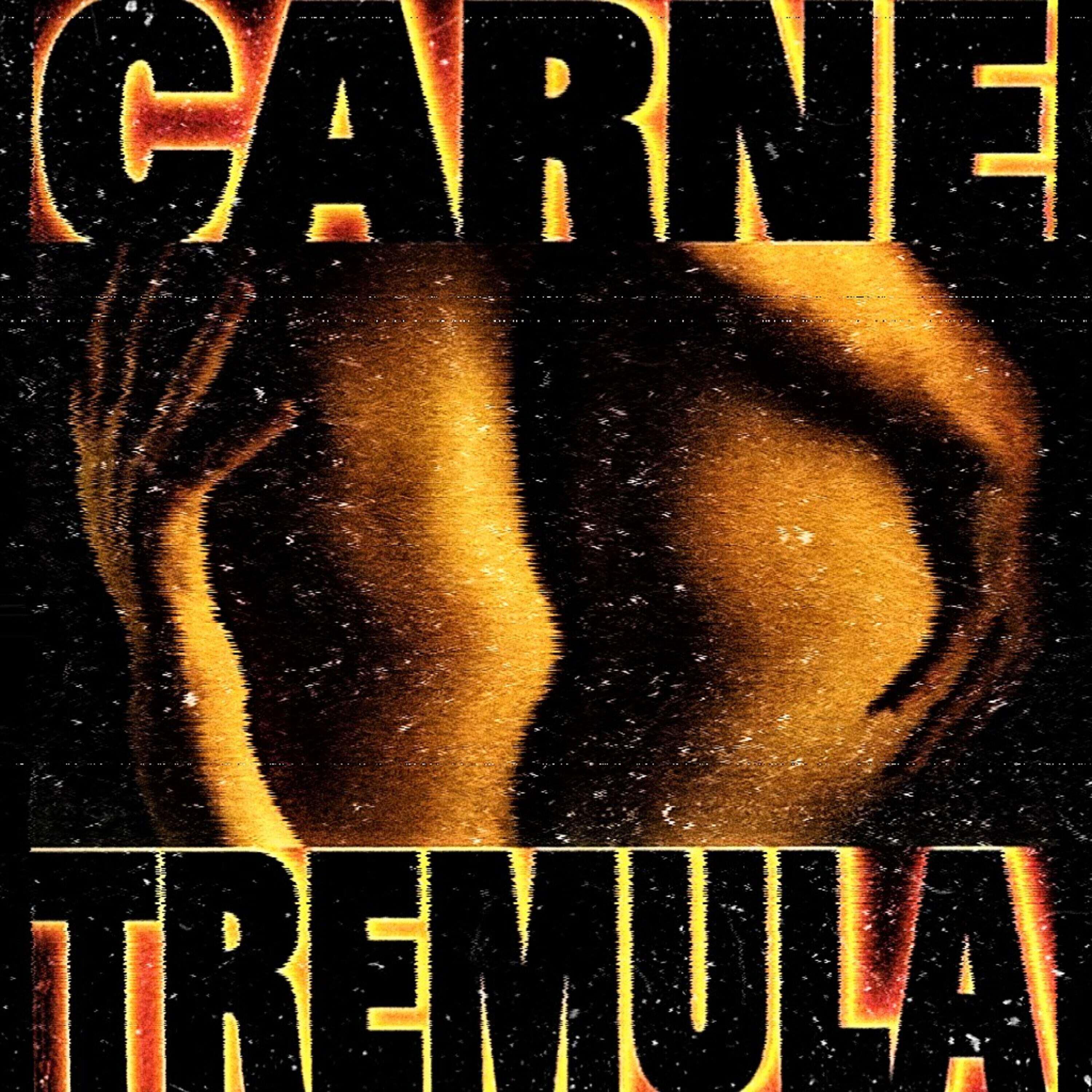 Постер альбома Carne Tremula
