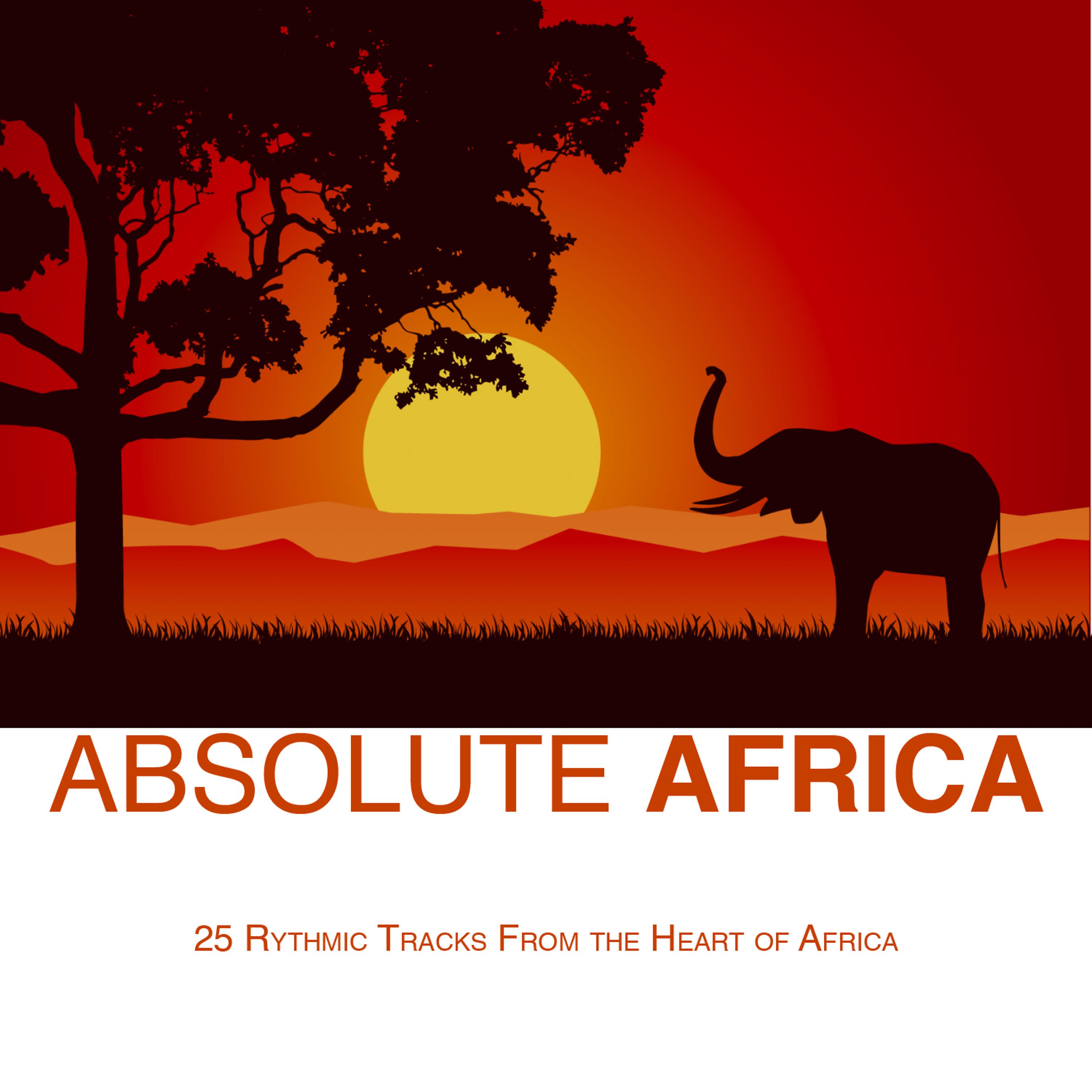 Постер альбома Absolute Africa