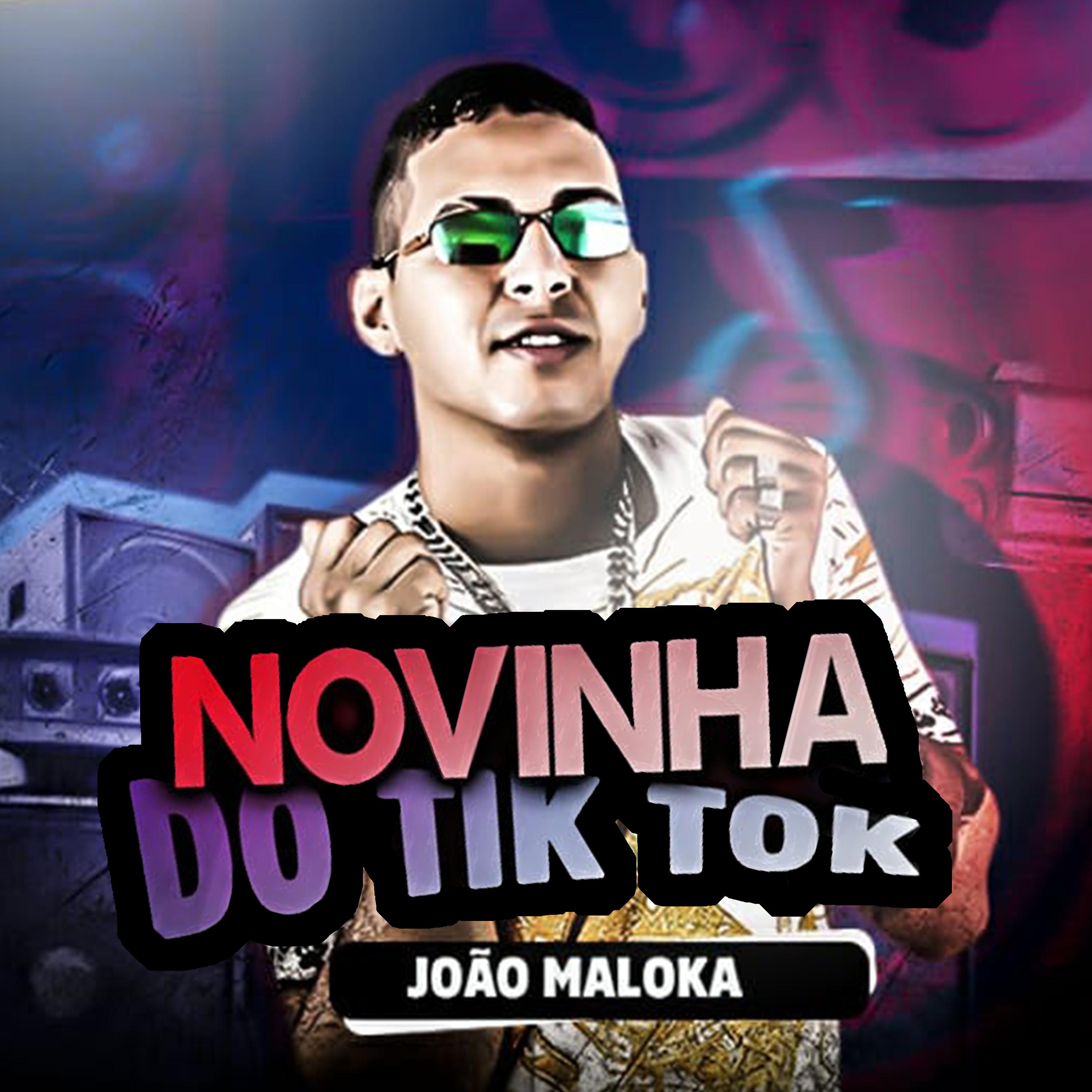 Постер альбома Novinha do Tiktok