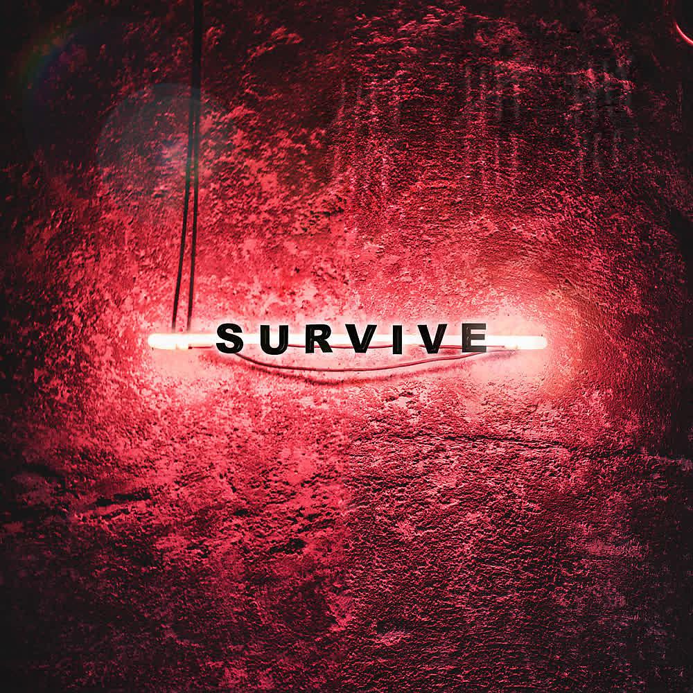 Постер альбома Survive