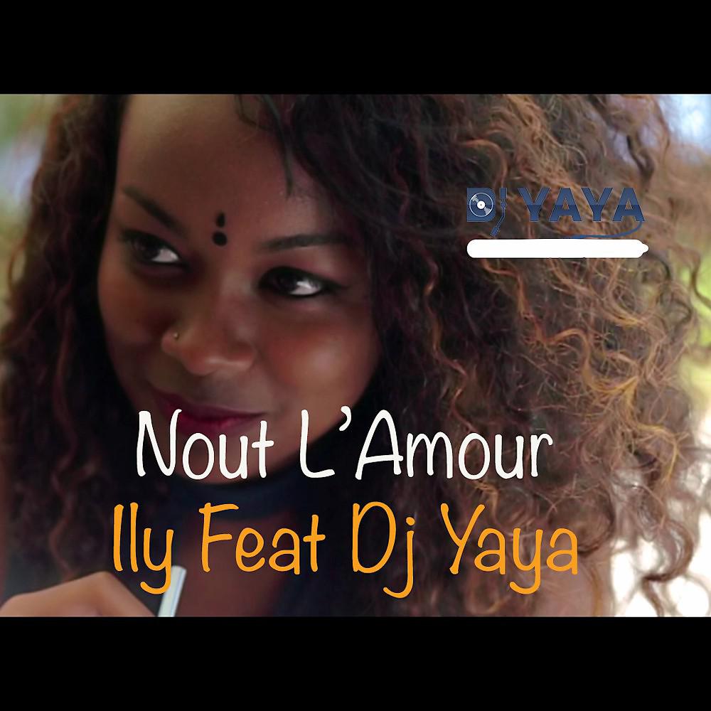 Постер альбома Nout l'amour
