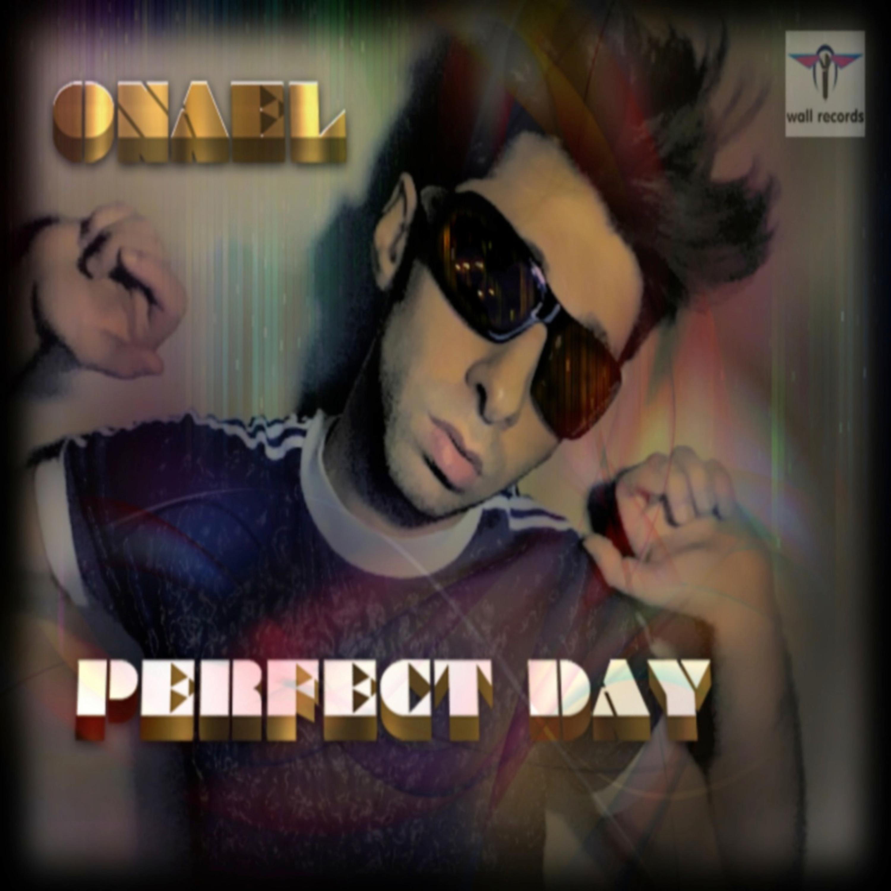 Постер альбома Perfect Day