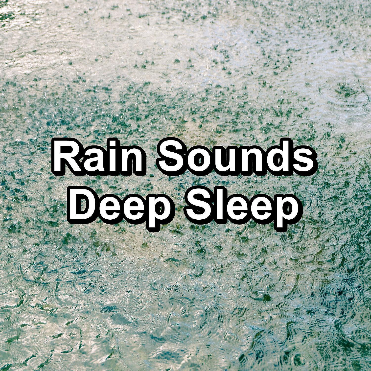 Постер альбома Rain Sounds Deep Sleep