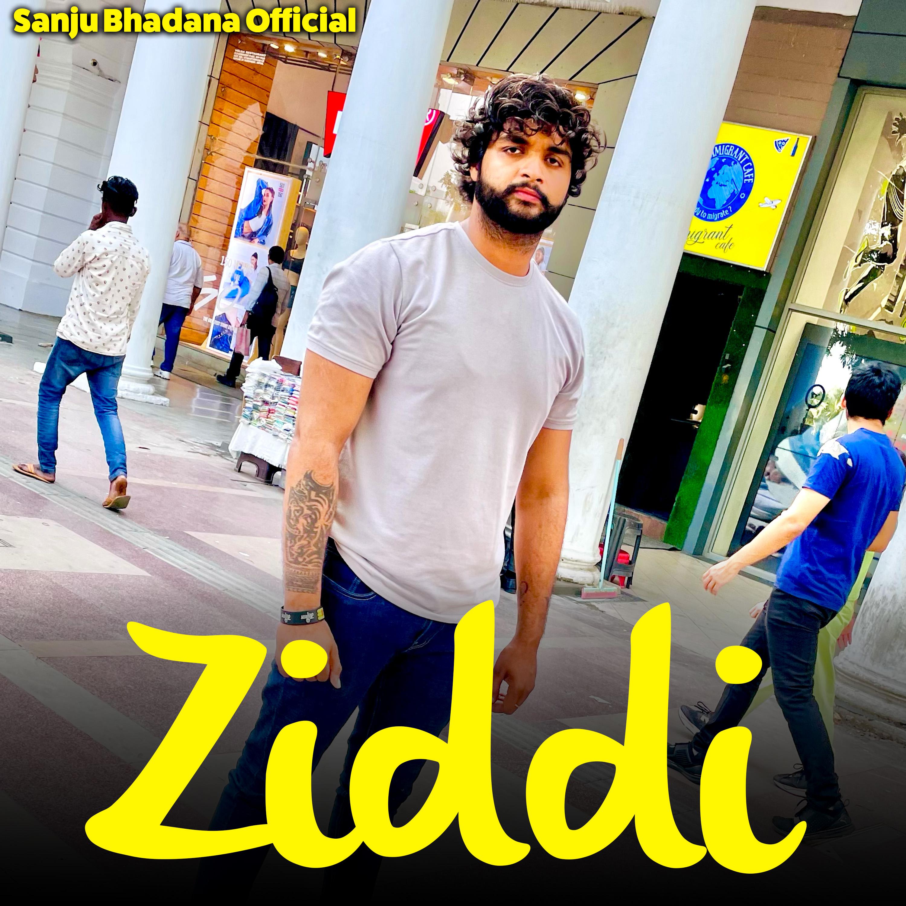 Постер альбома Ziddi