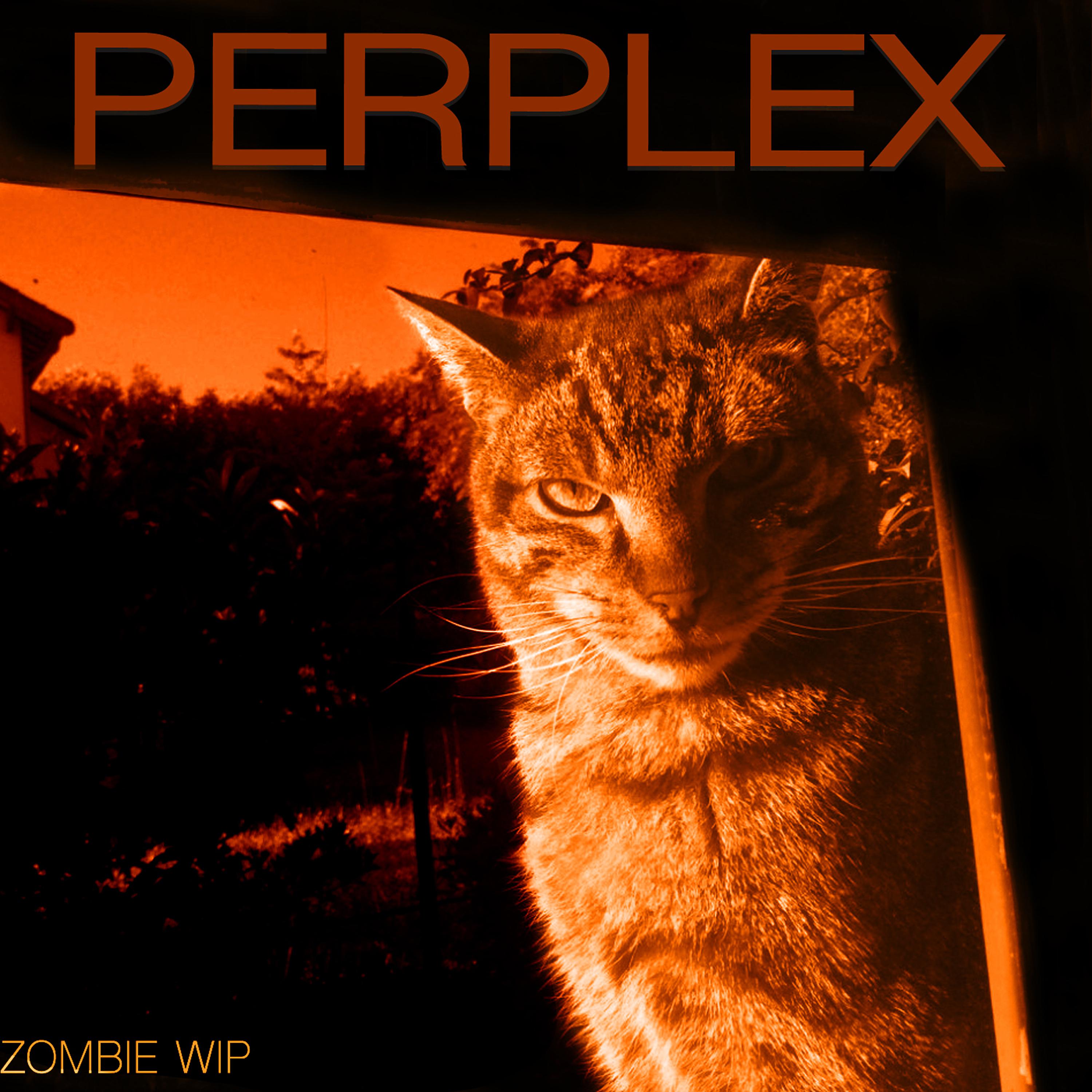 Постер альбома Perplex