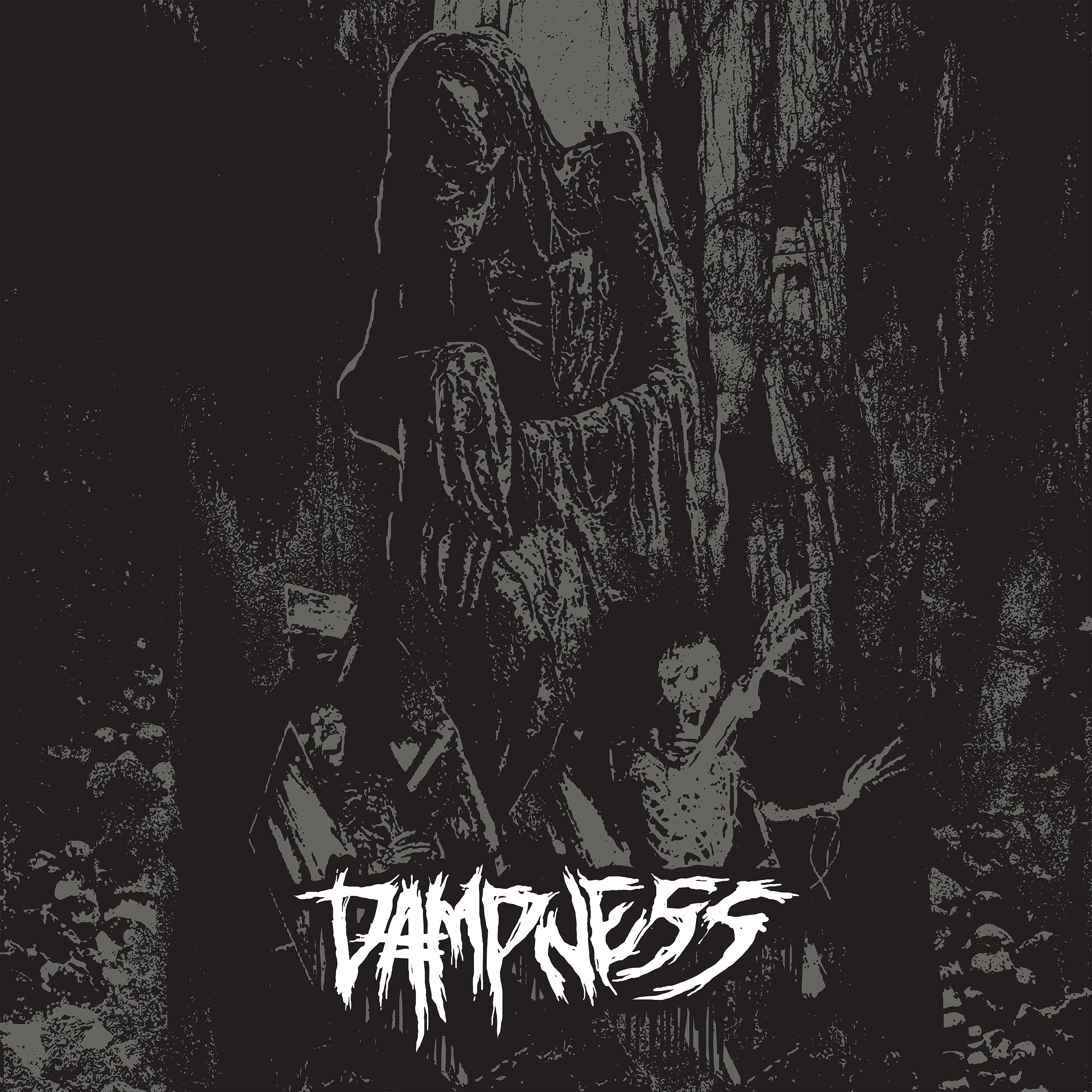 Постер альбома Dampness