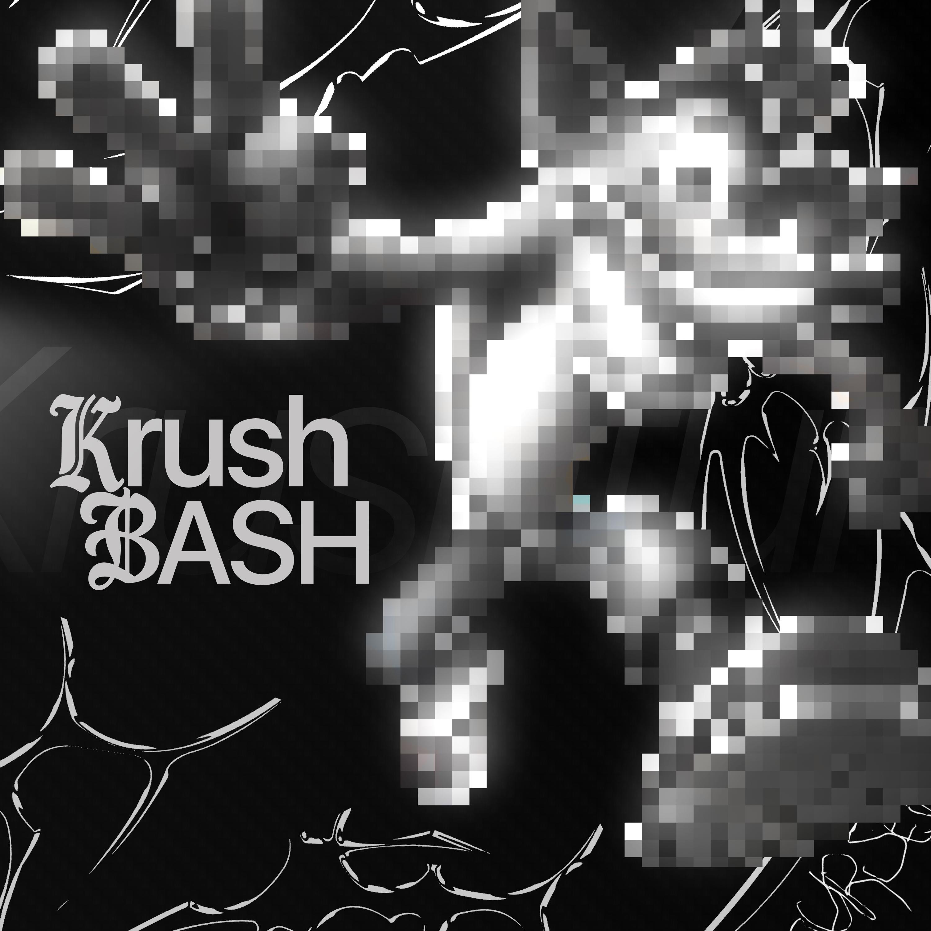 Постер альбома KRUSHBASH