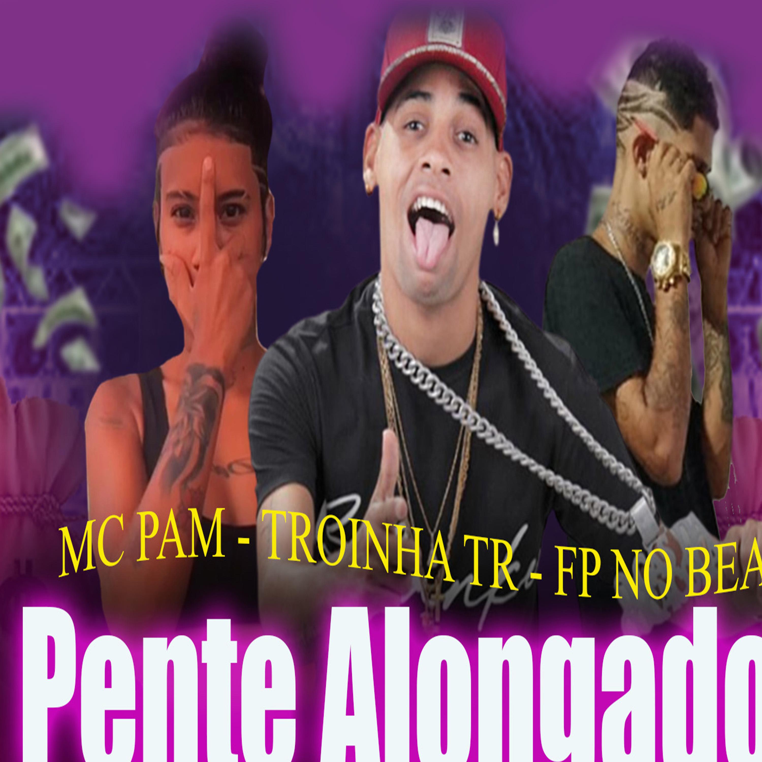 Постер альбома Pente Alongado
