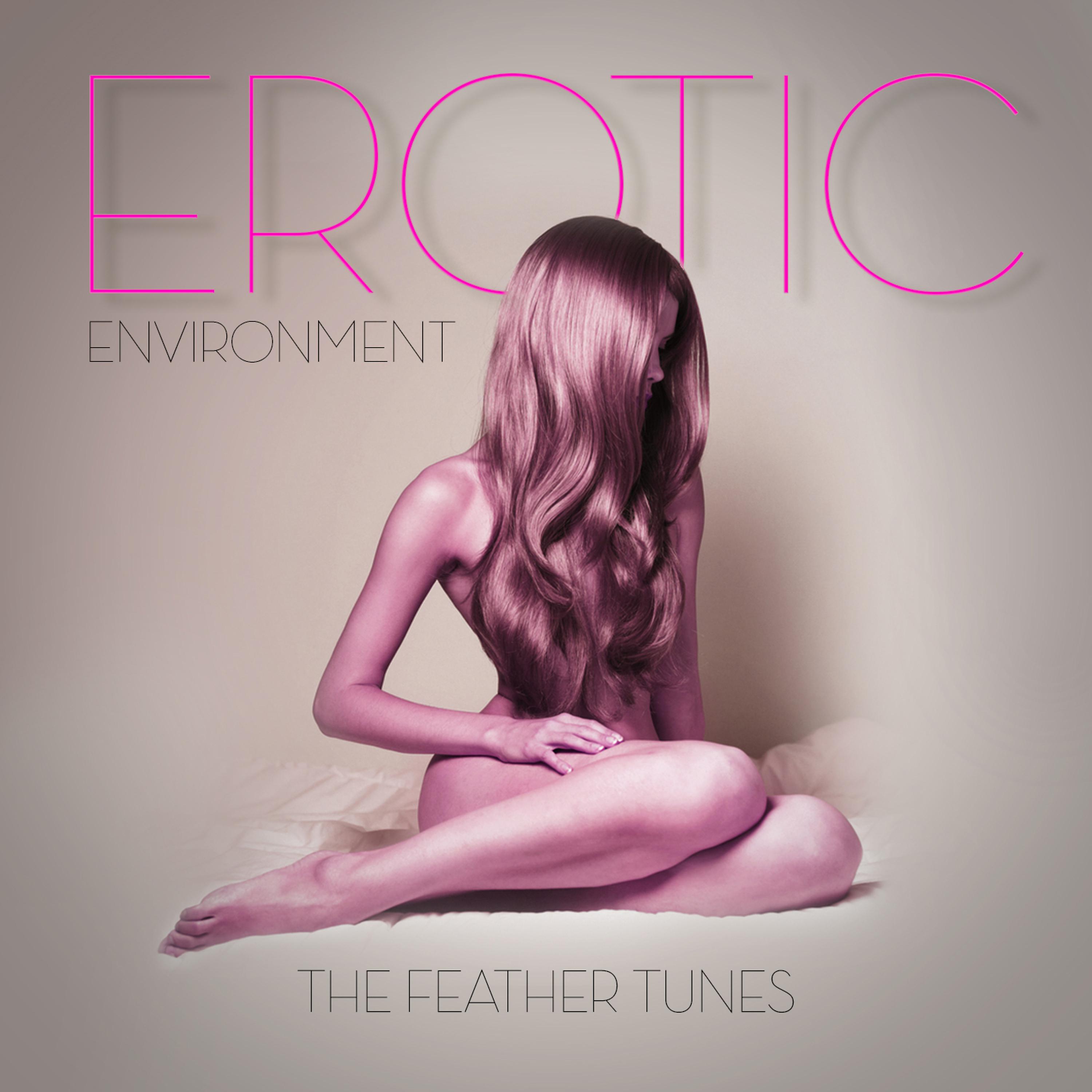 Постер альбома Erotic Environment