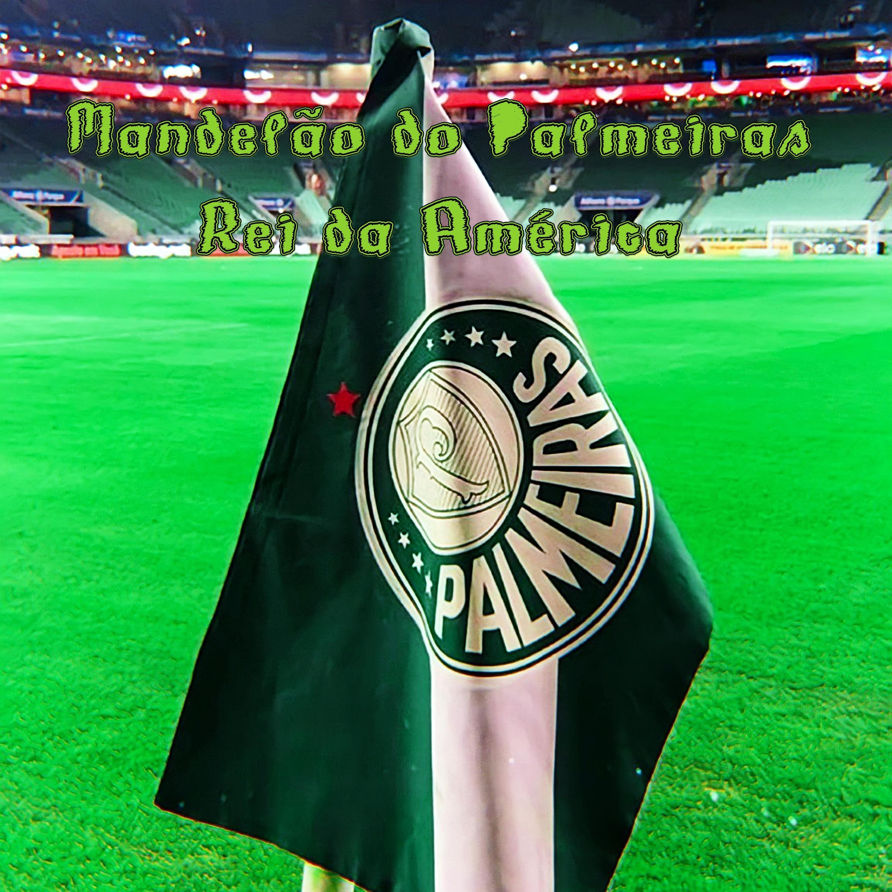 Постер альбома Mandelão do Palmeiras Rei da América