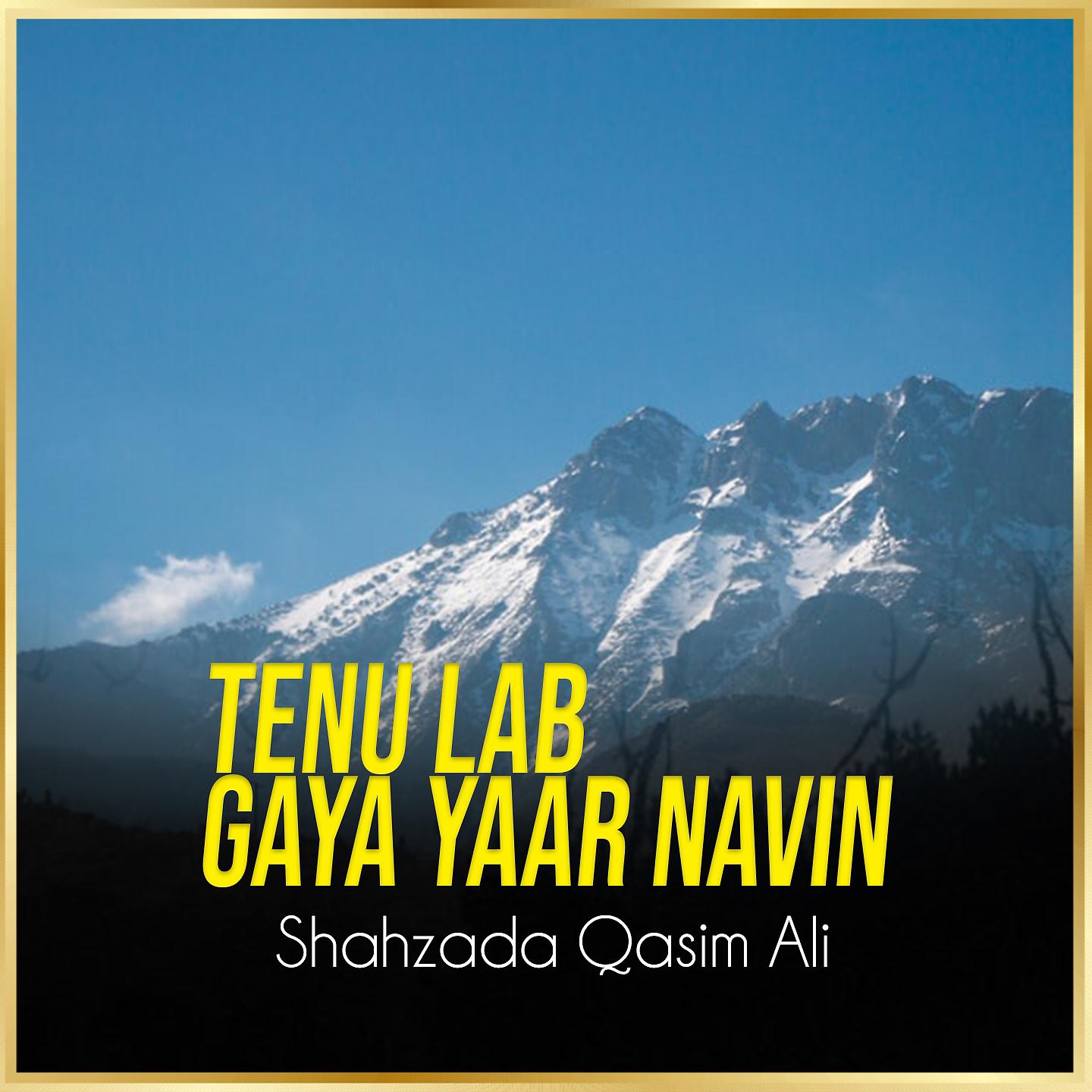 Постер альбома Tenu Lab Gaya Yaar Navin