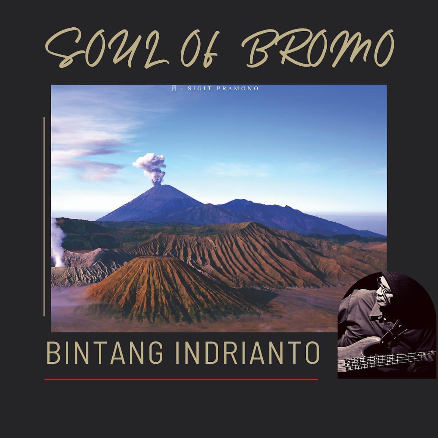 Постер альбома Soul of Bromo