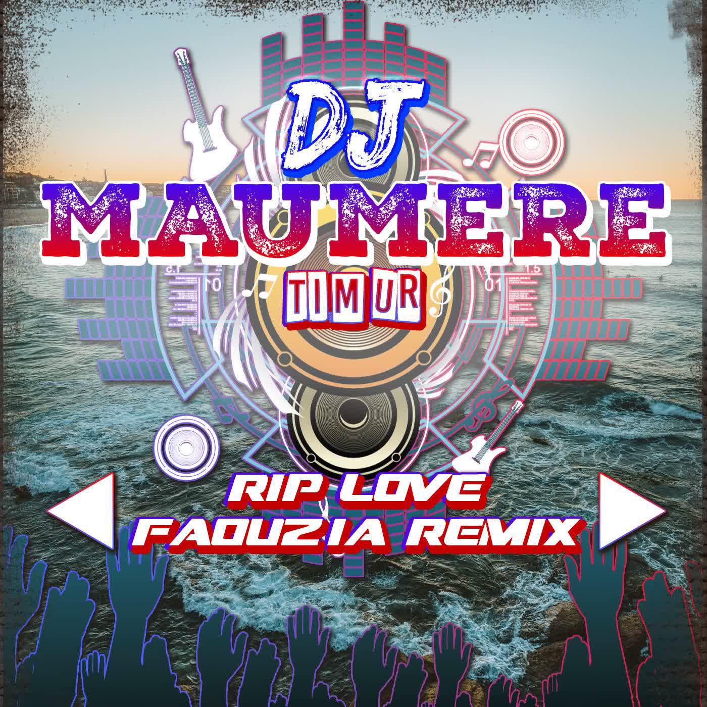 Постер альбома DJ RIP Love Faouzia Remix