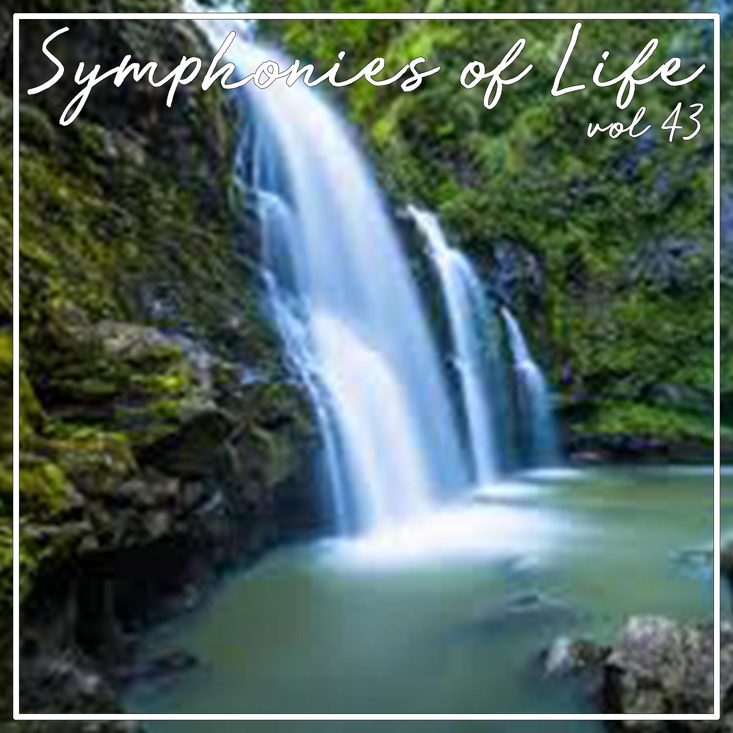 Постер альбома Symphonies of Life, Vol. 43 - Bach: Passio Secundum Johannem, 1768