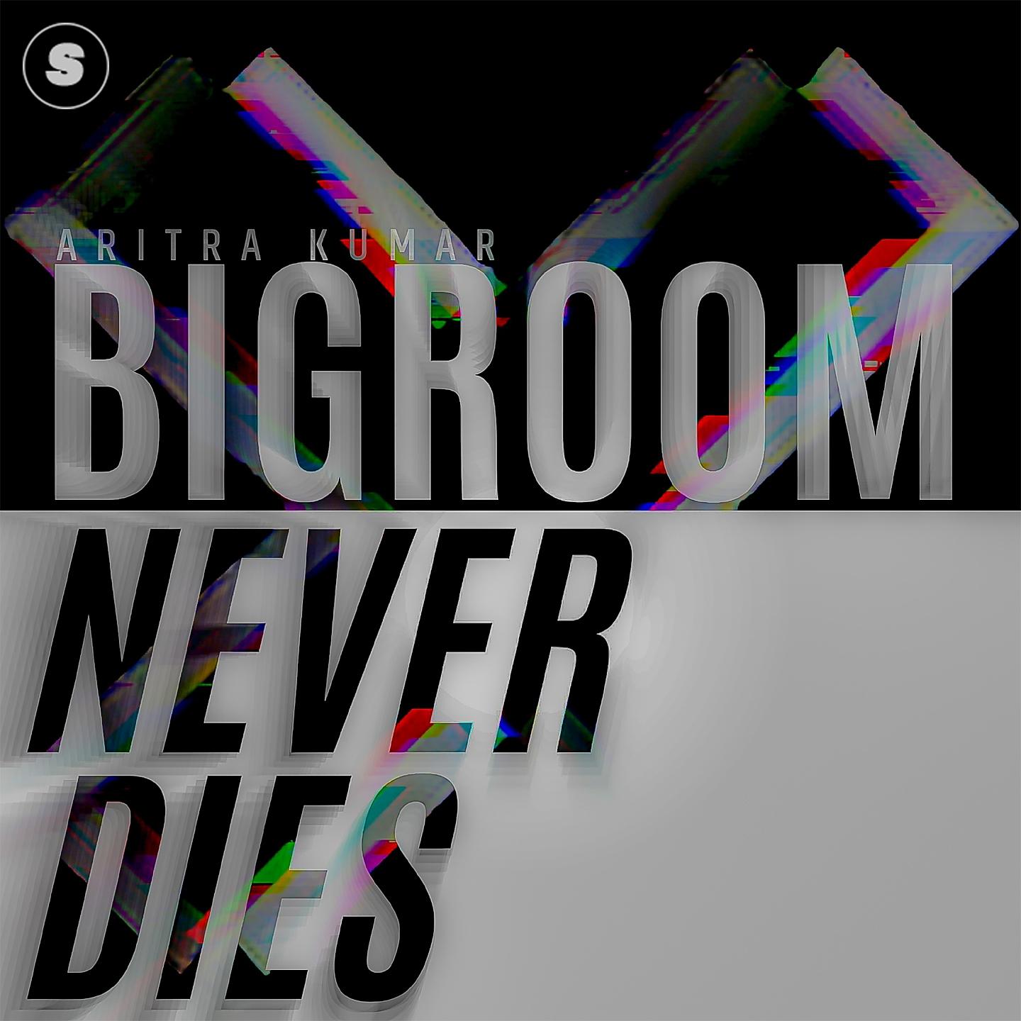 Постер альбома Bigroom Never Dies
