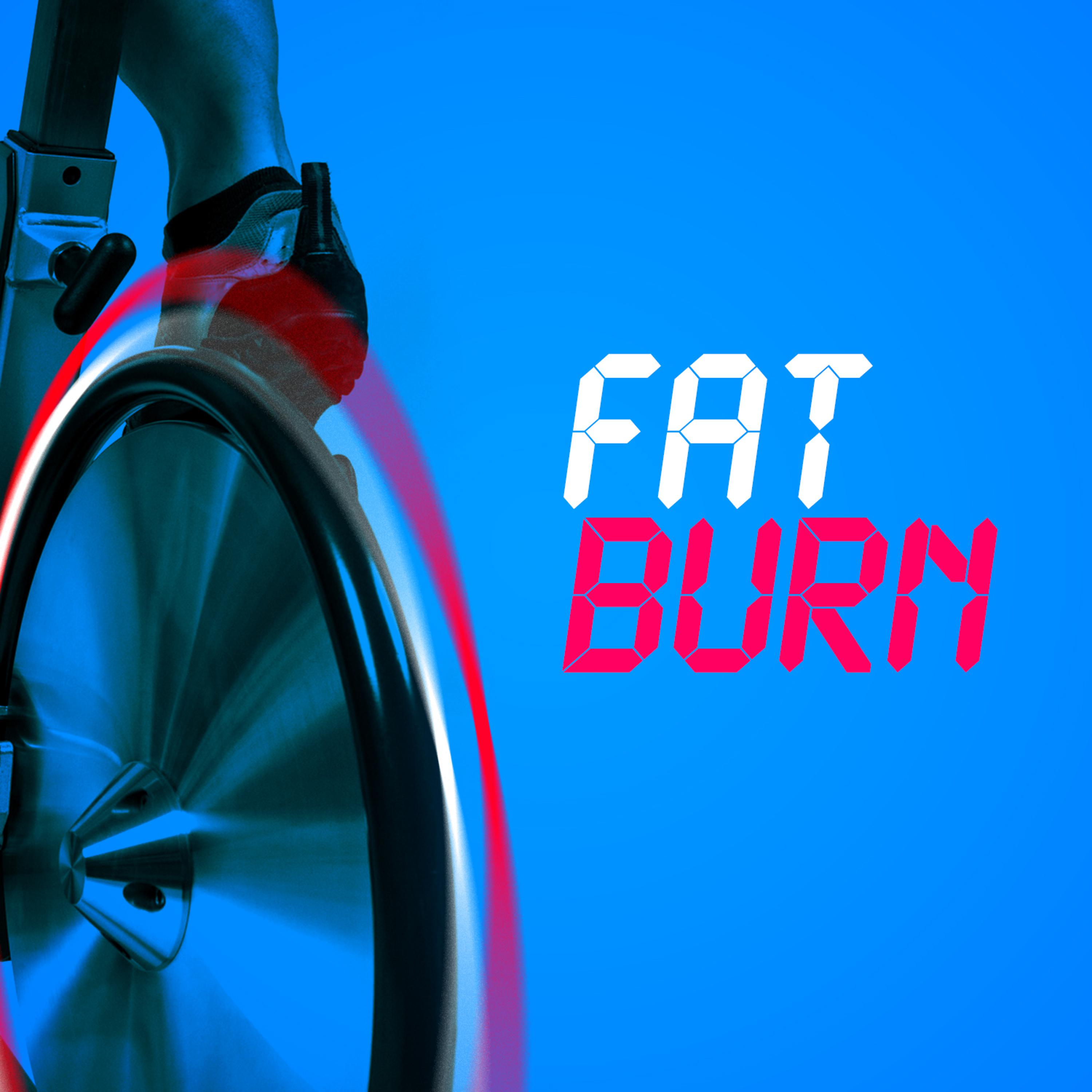 Постер альбома Fat Burn