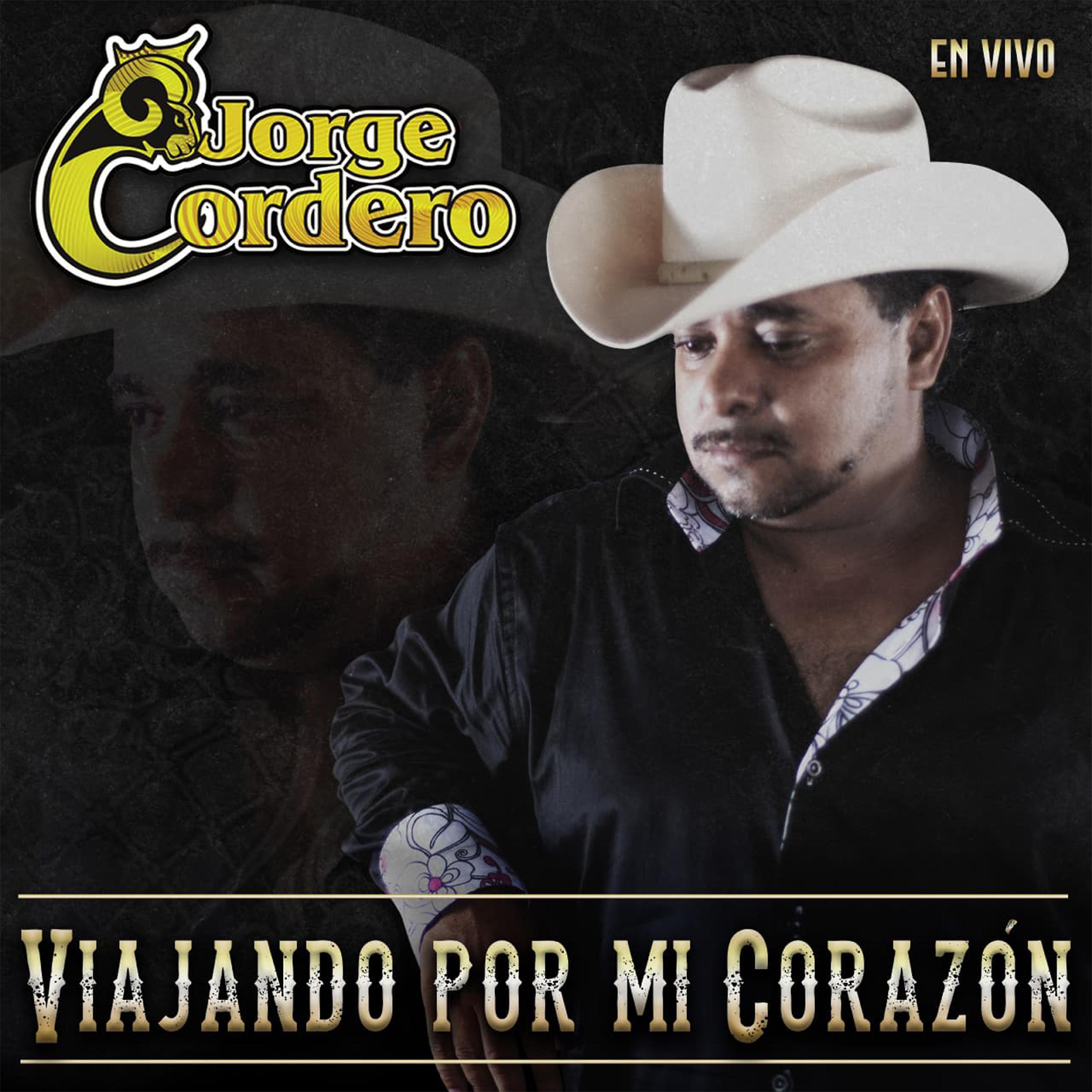Постер альбома Viajando por Mi Corazón (En Vivo)