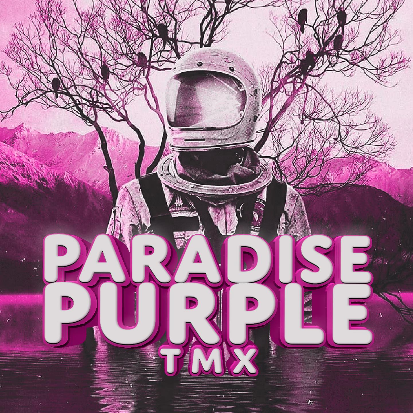 Постер альбома Paradise Purple