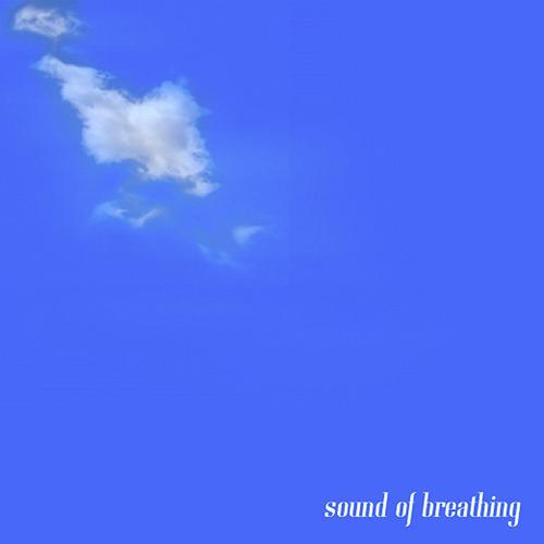 Постер альбома Sound Of Breathing