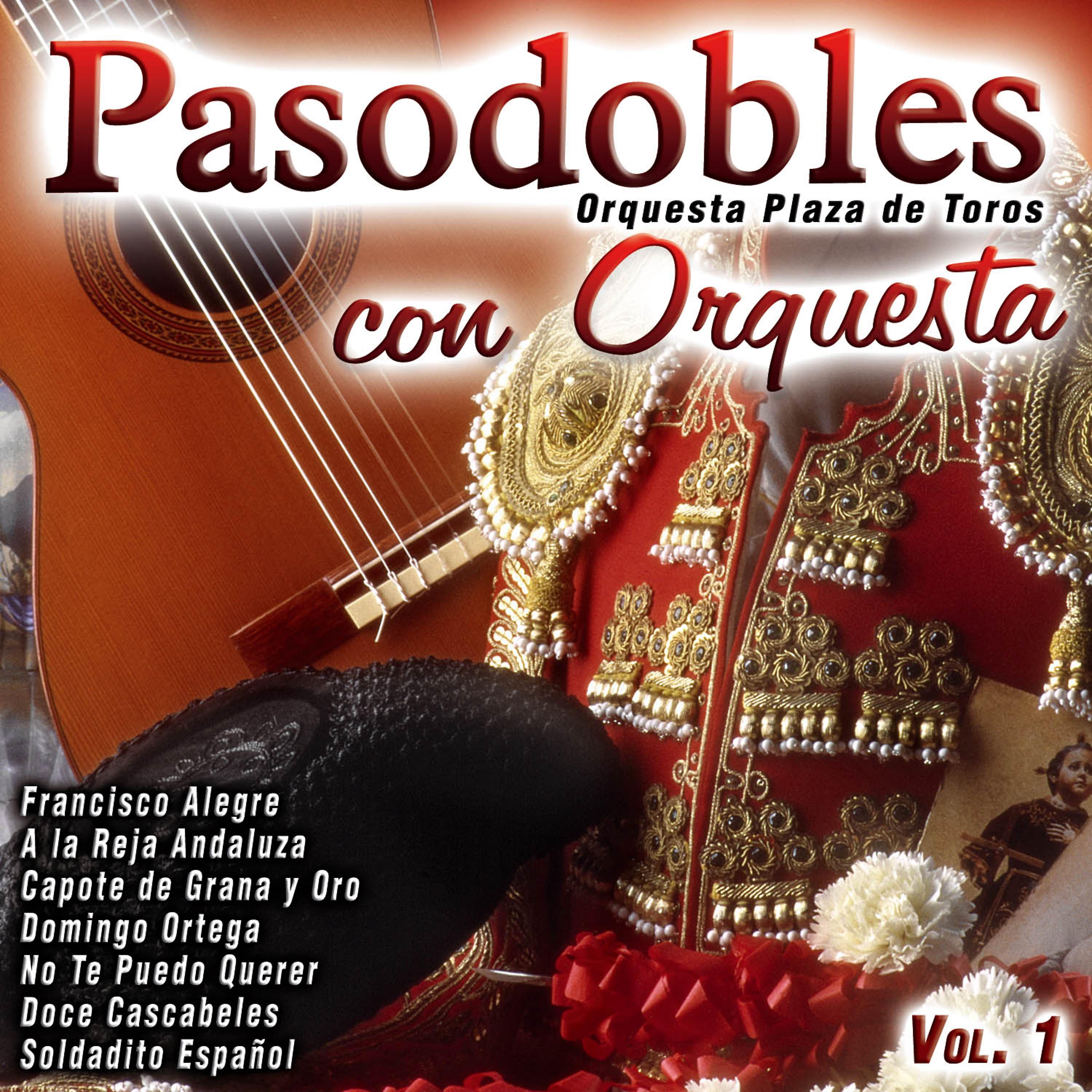 Постер альбома Pasodobles Con Orquesta Vol. 1