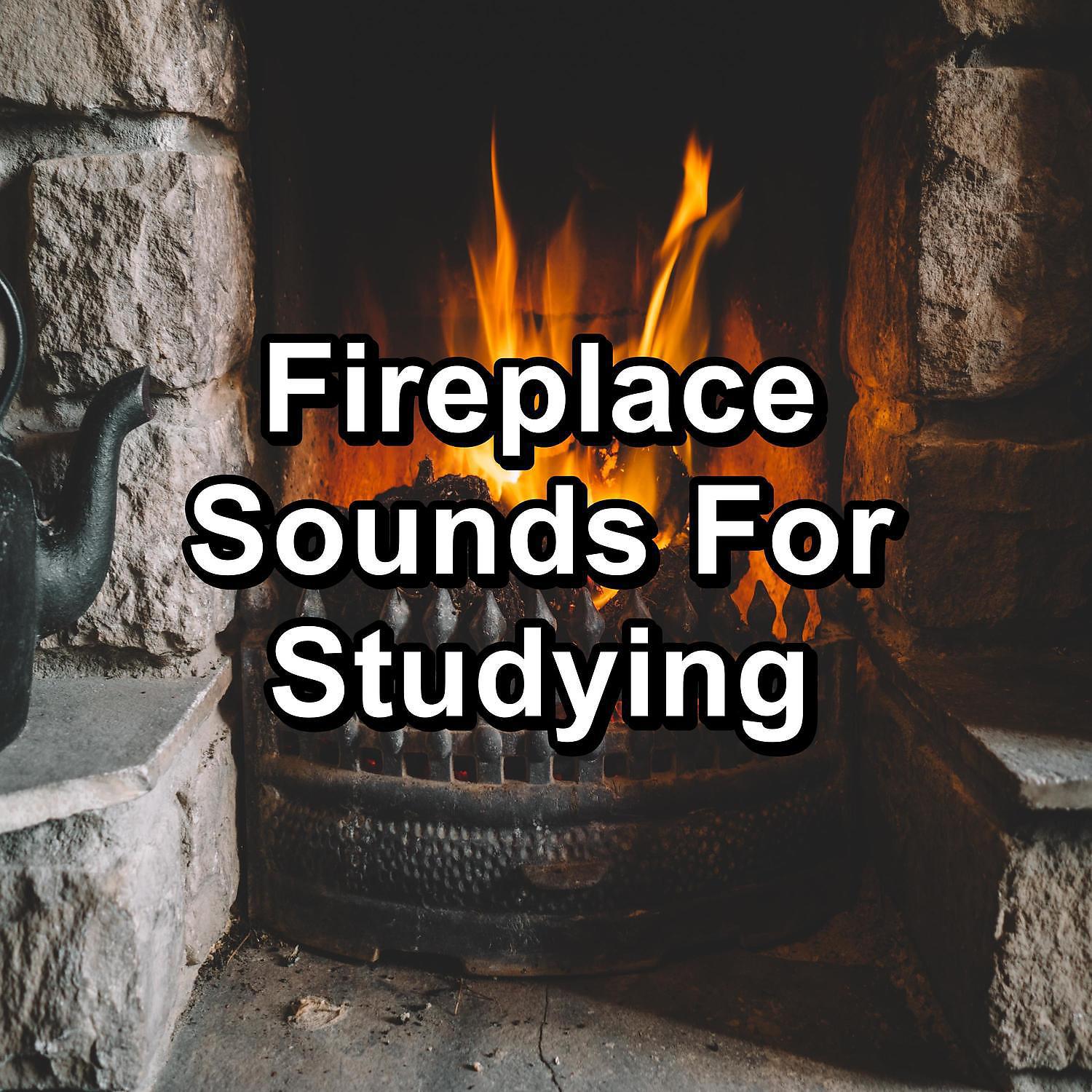 Постер альбома Fireplace Sounds For Studying