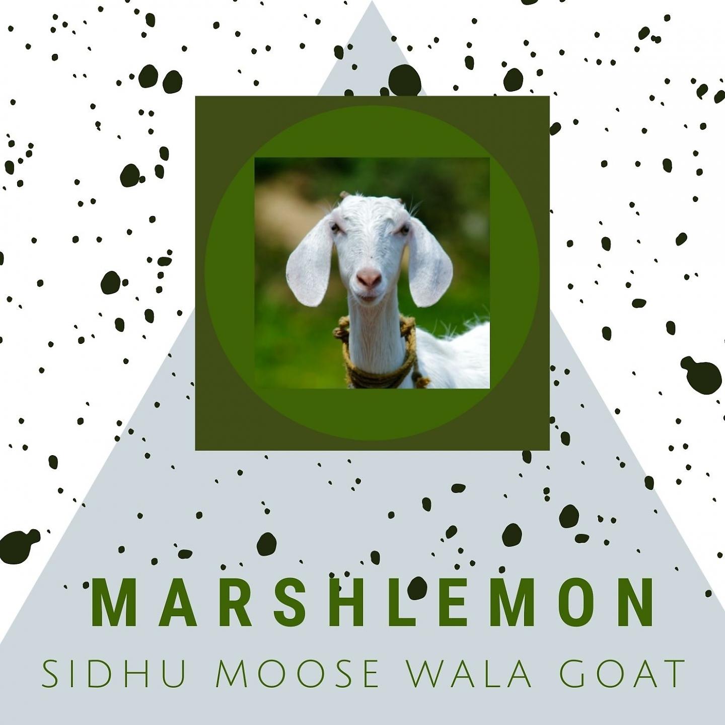 Постер альбома Sidhu Moose Wala Goat