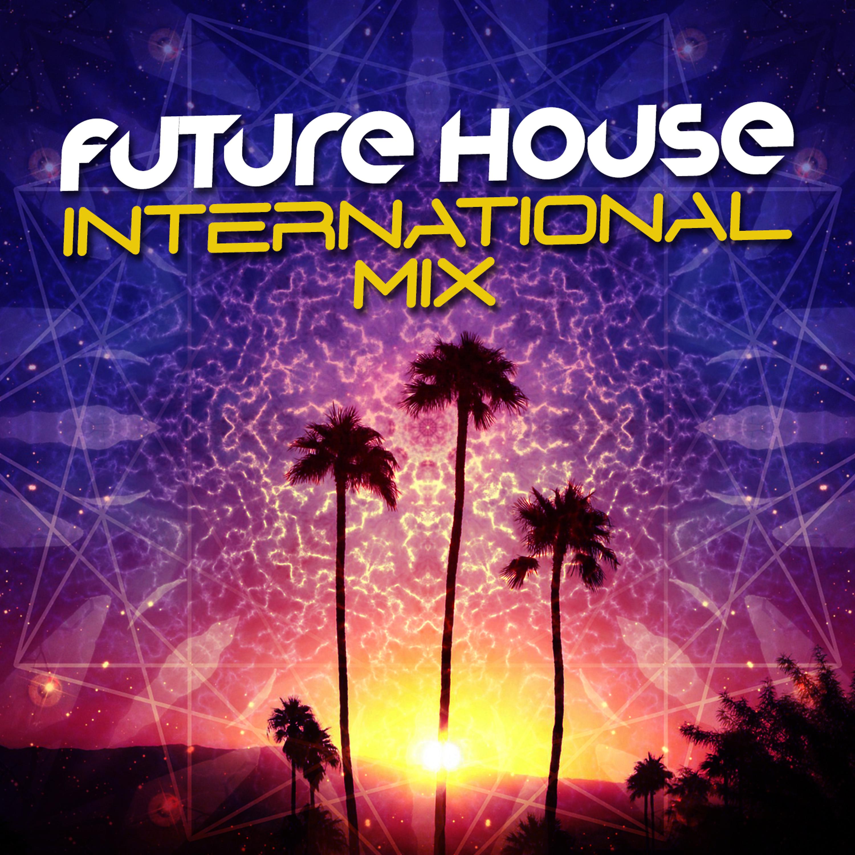 Постер альбома Future House International Mix