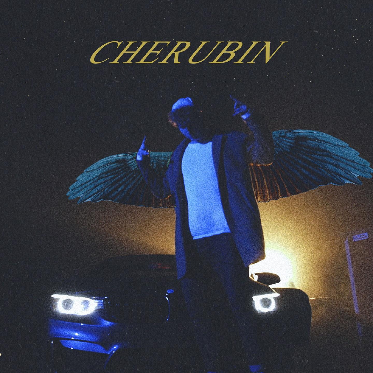 Постер альбома Cherubin