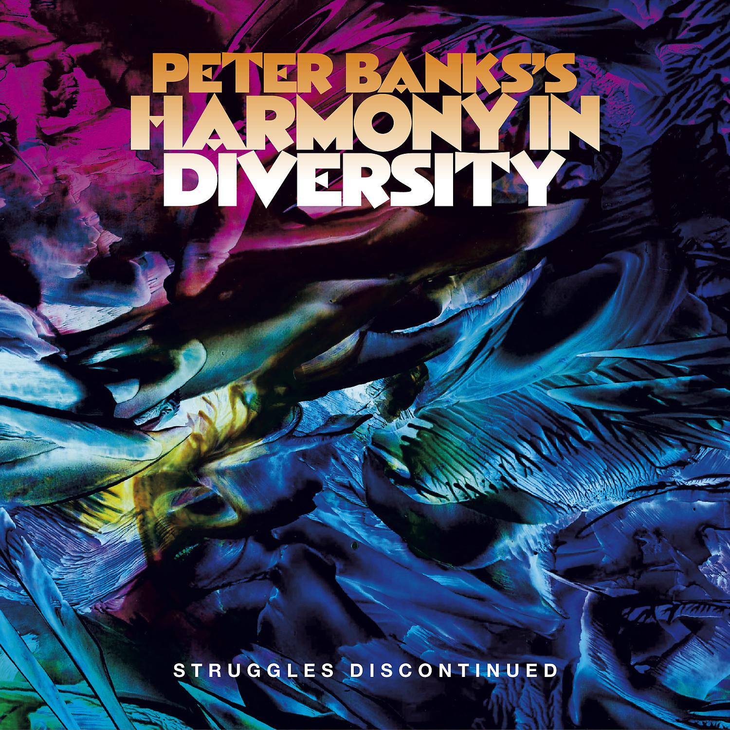 Постер альбома Peter Banks's Harmony in Diversity: Struggles Discontinued