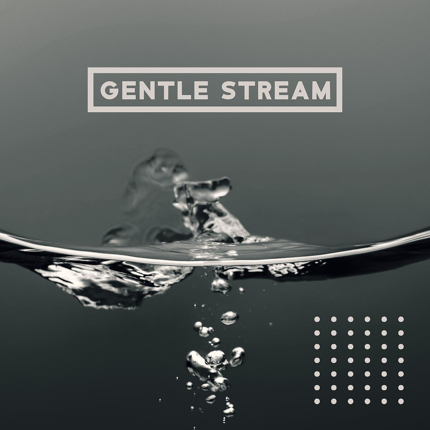 Постер альбома Gentle Stream: Zen Relaxing Nature Sounds