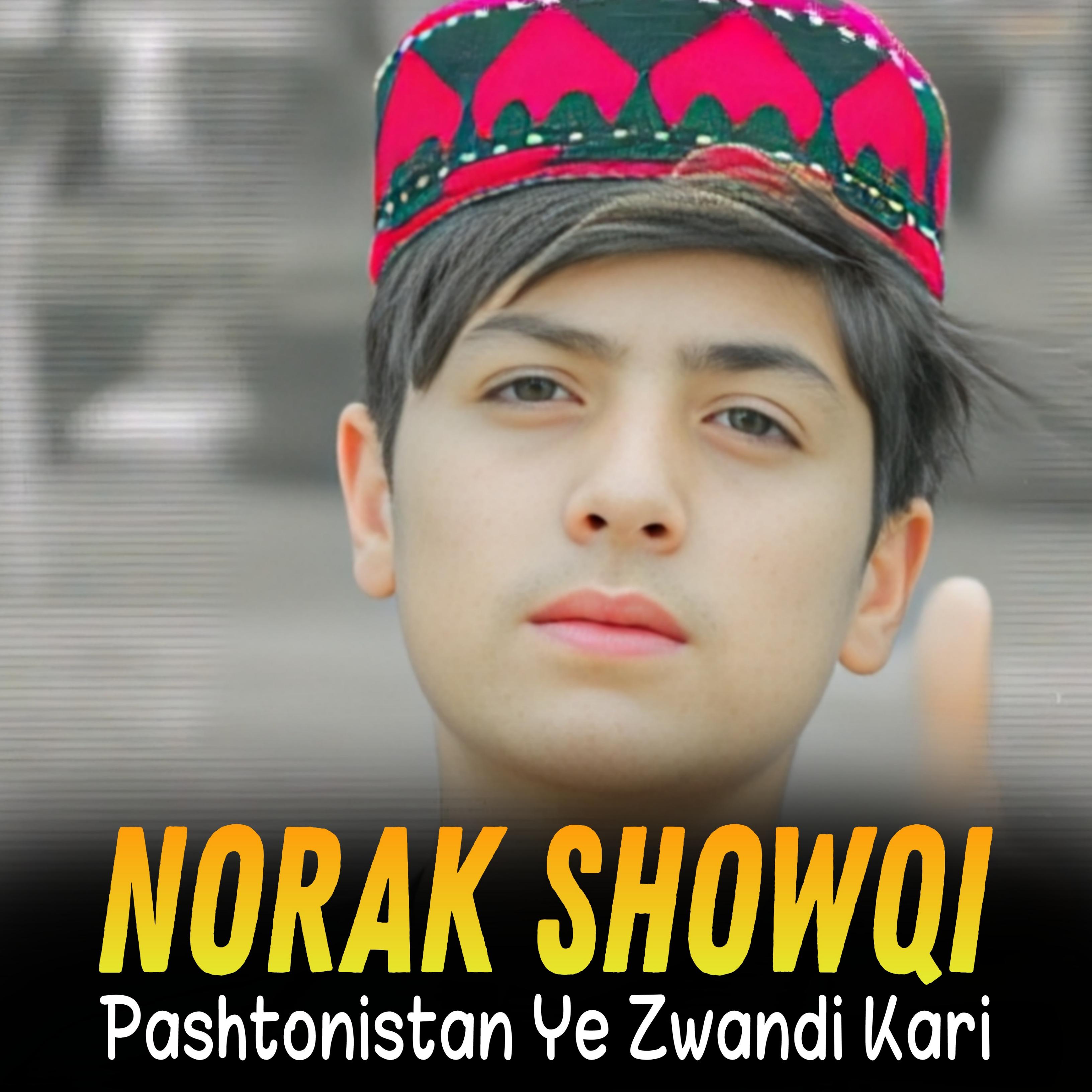 Постер альбома Pashtonistan Ye Zwandi Kari