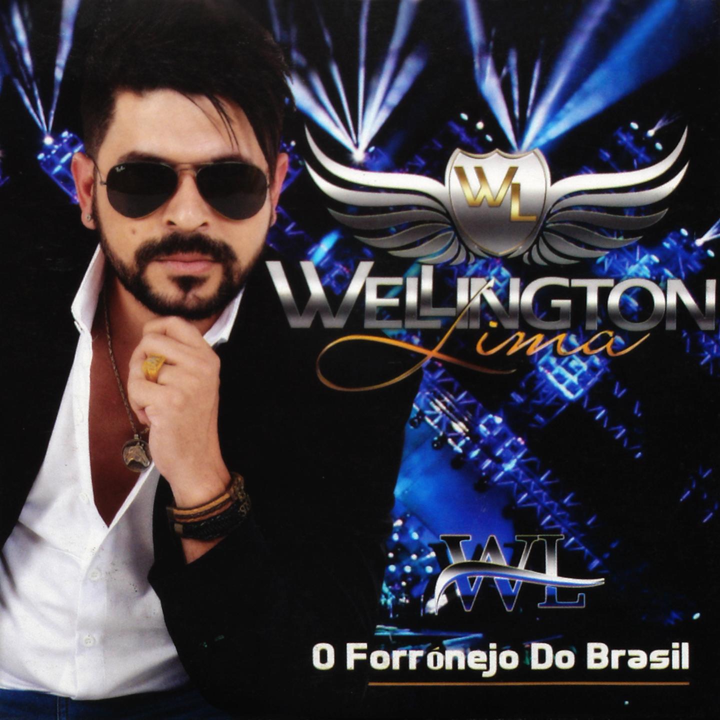 Постер альбома O Forronejo do Brasil