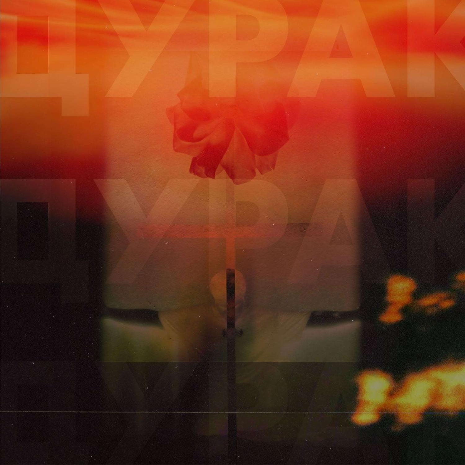 Постер альбома Дурак