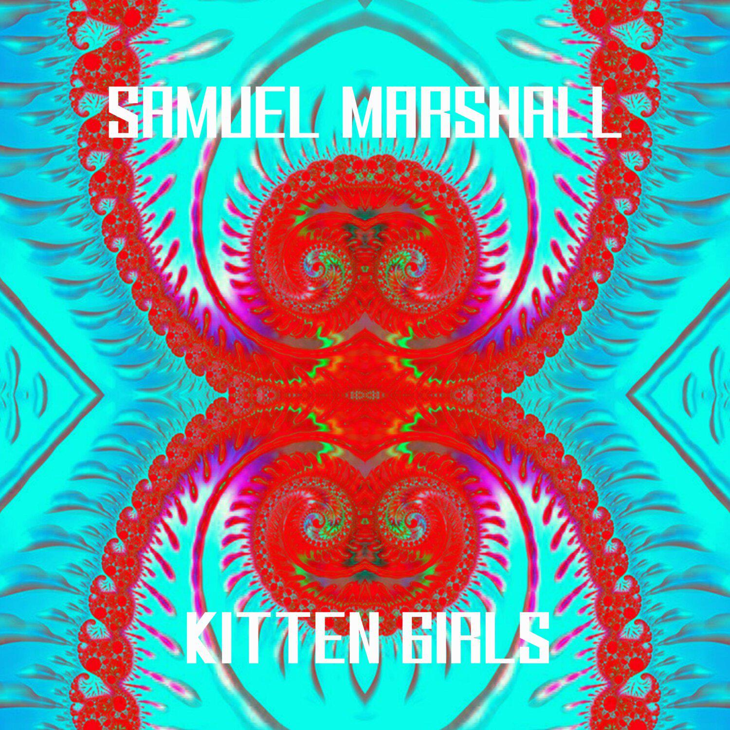 Постер альбома Kitten Girl