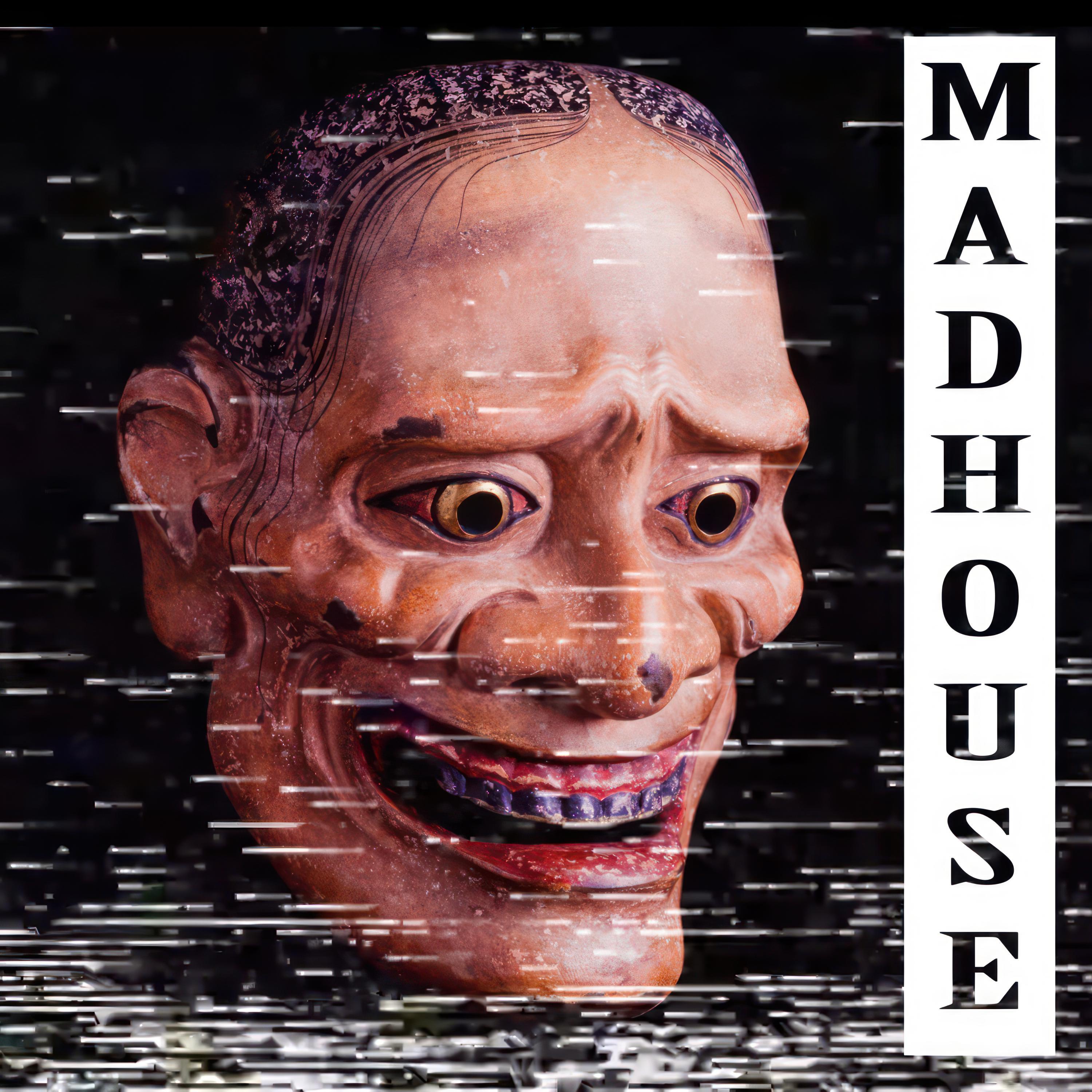 Постер альбома Madhouse