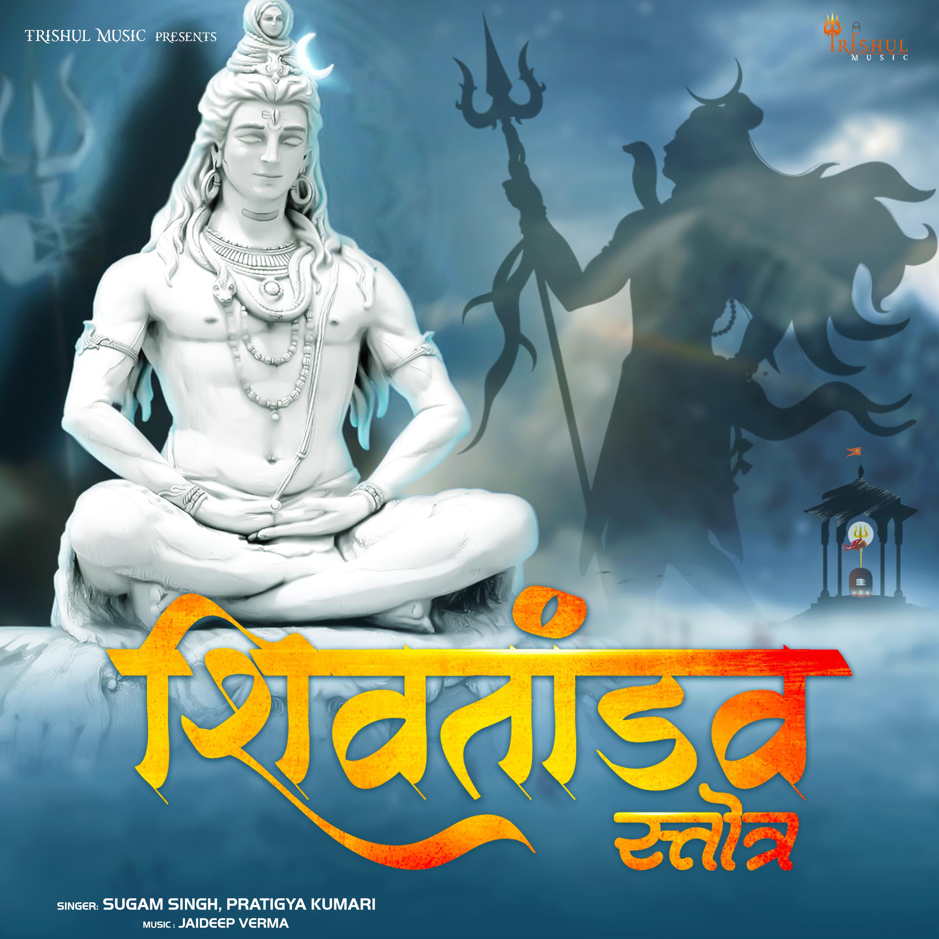 Постер альбома Shiv Tandav Stotram