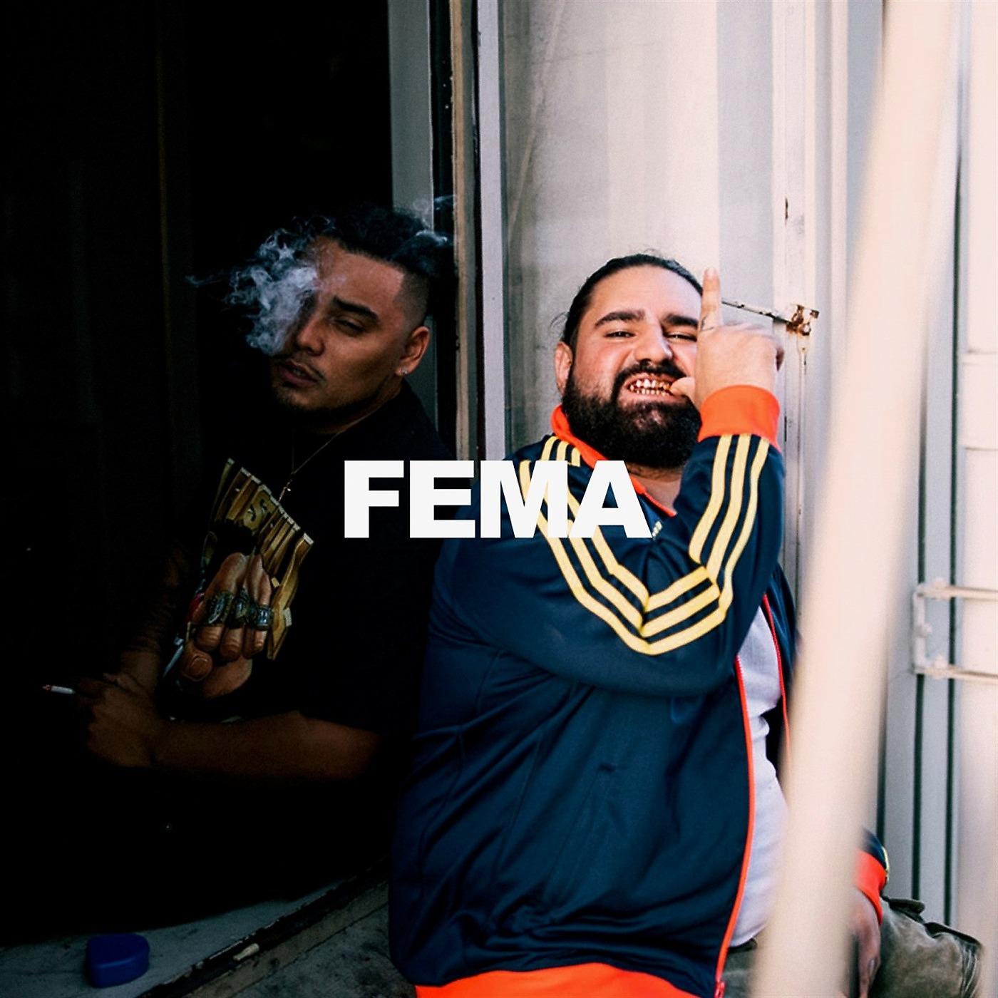 Постер альбома Fema