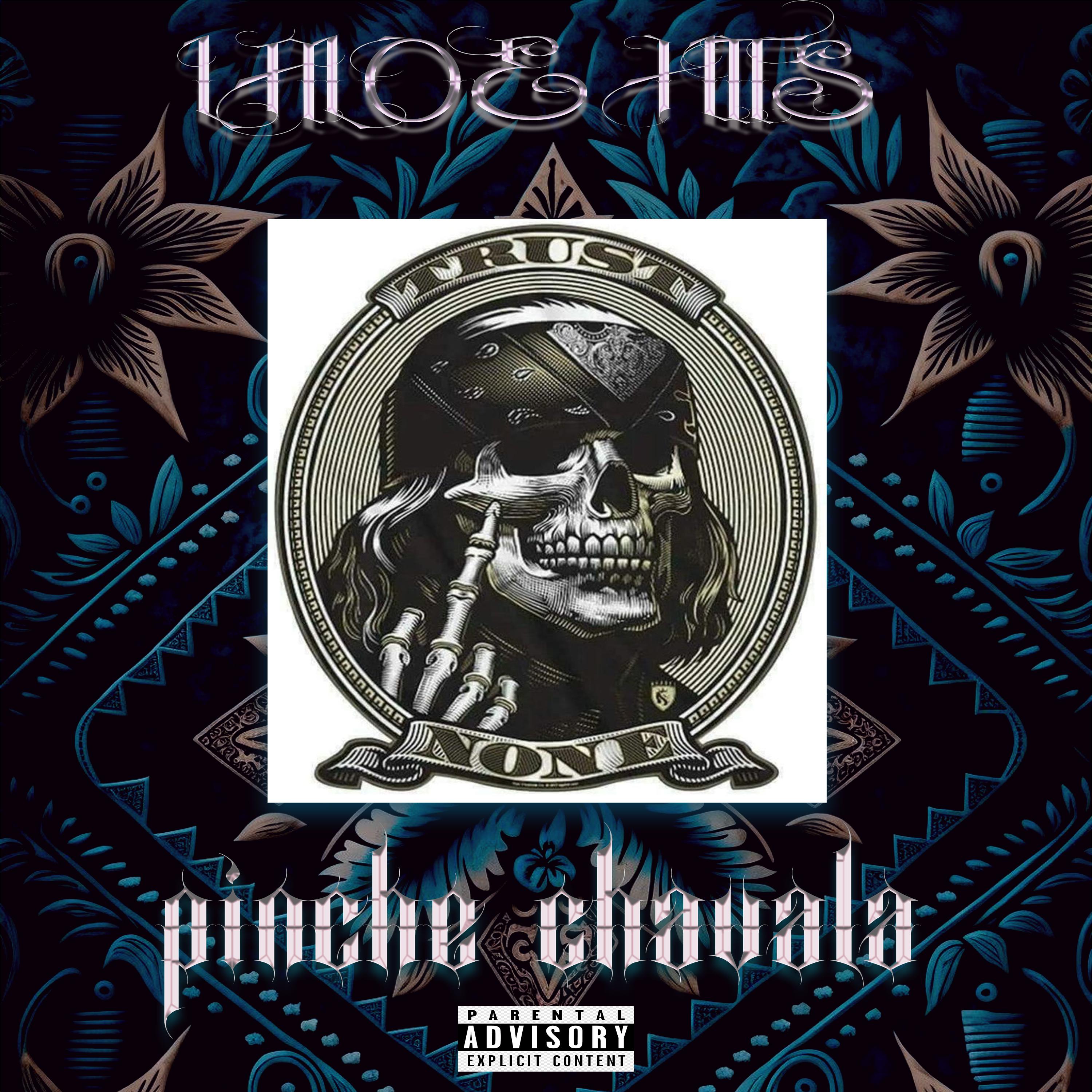 Постер альбома Pinche Chavala