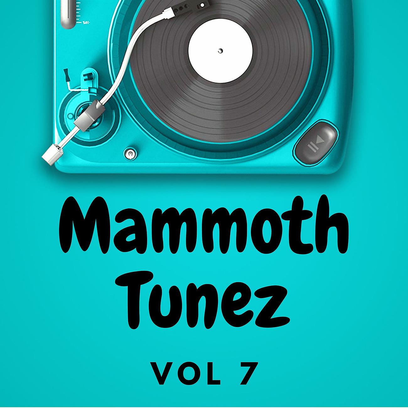 Постер альбома Mammoth Tunez Vol 7