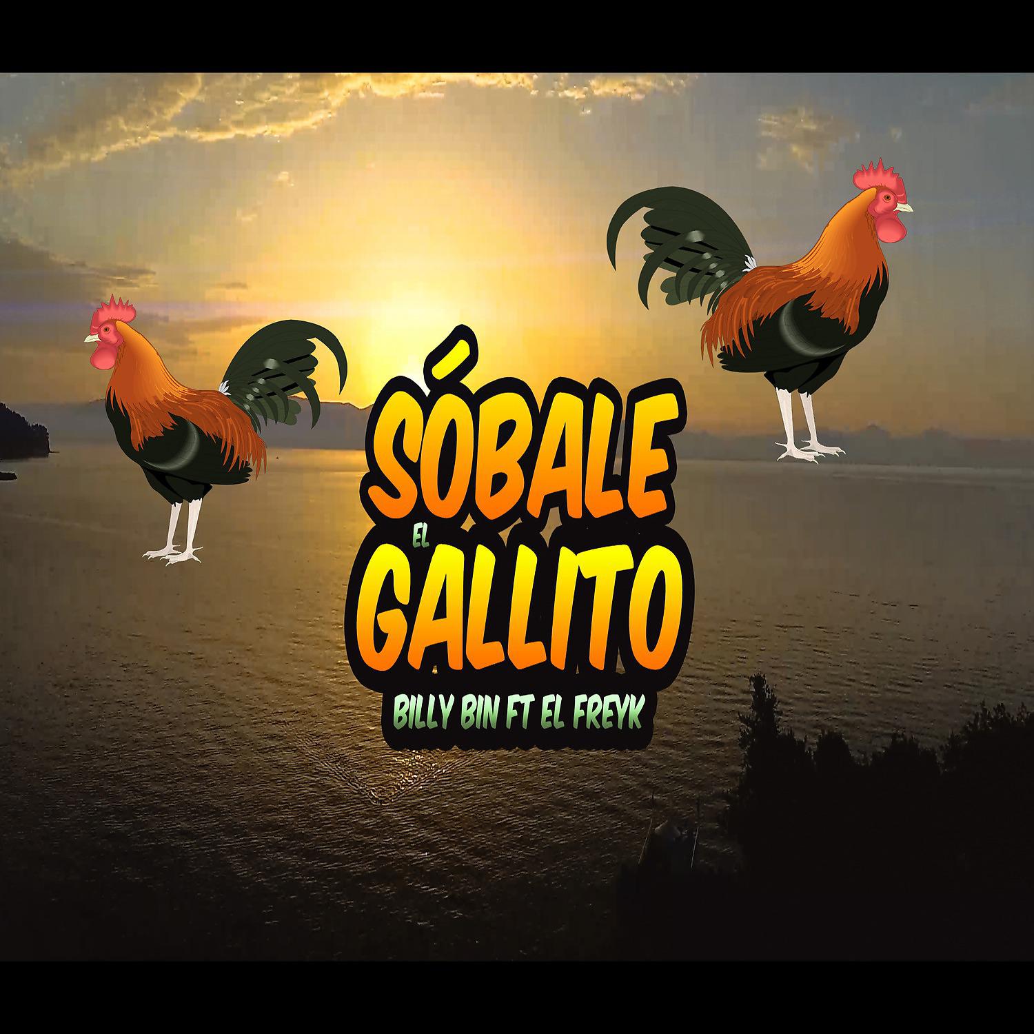 Постер альбома Sóbale el Gallito