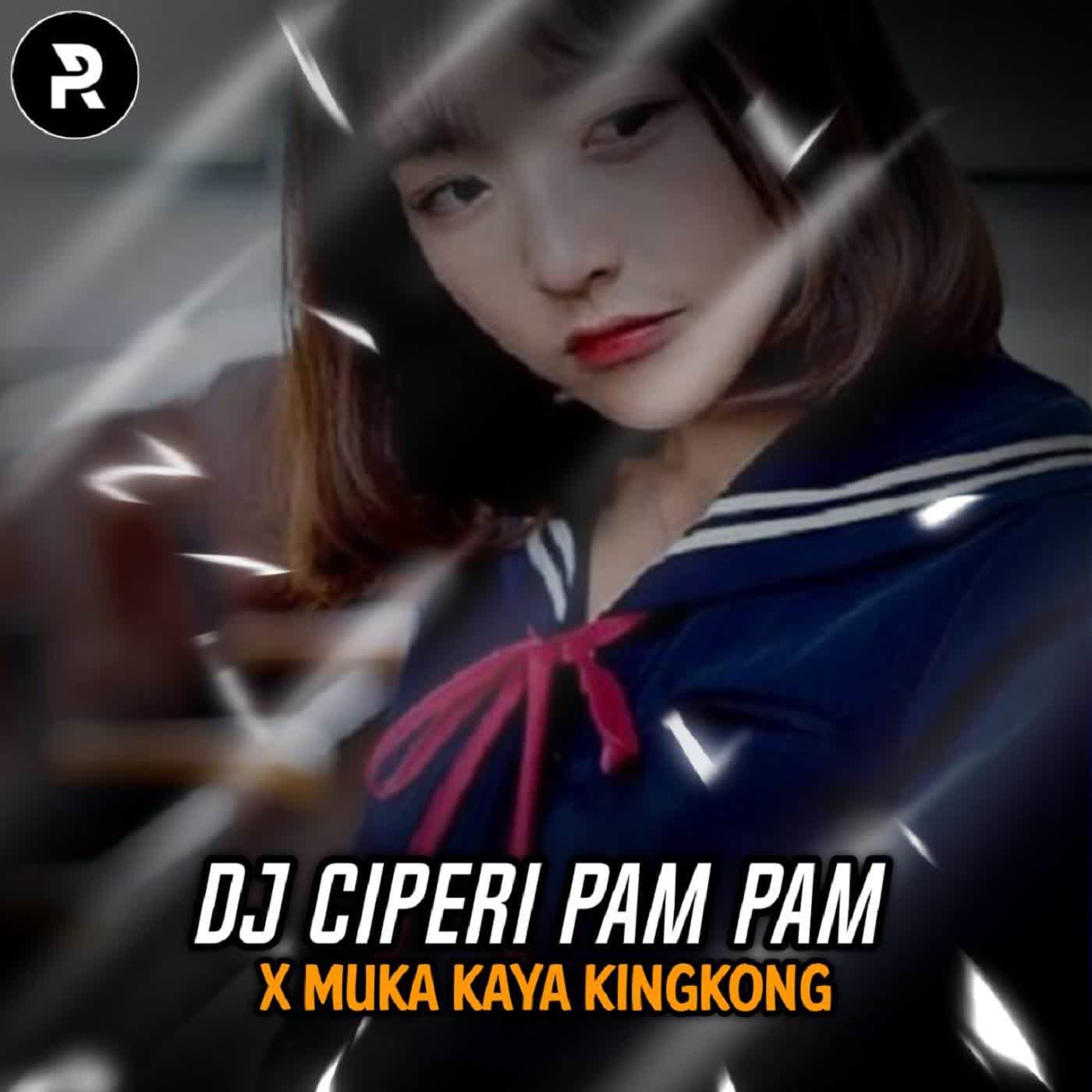 Постер альбома DJ Ciperi Pam Pam X Muka Kaya Kingkong