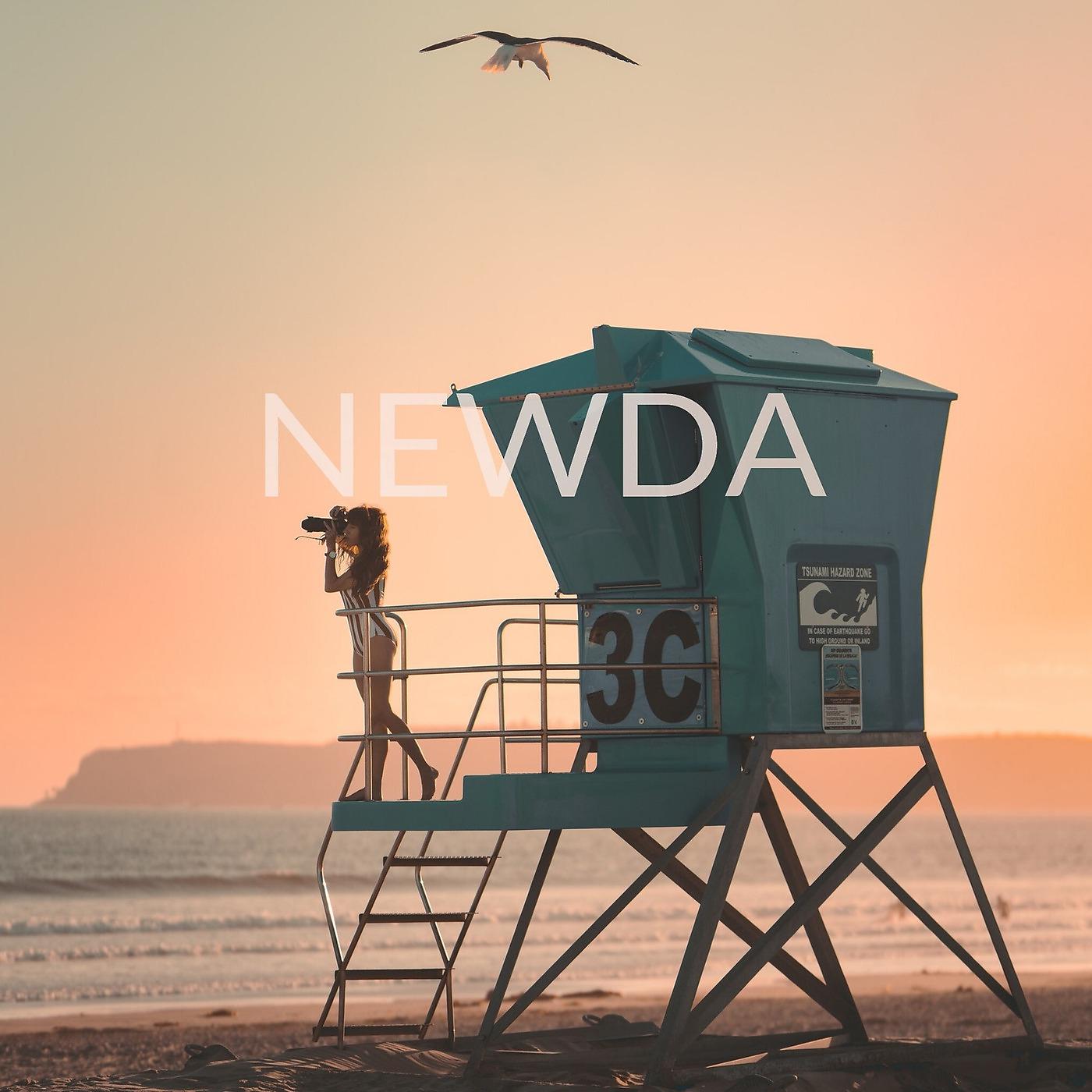 Постер альбома Newda