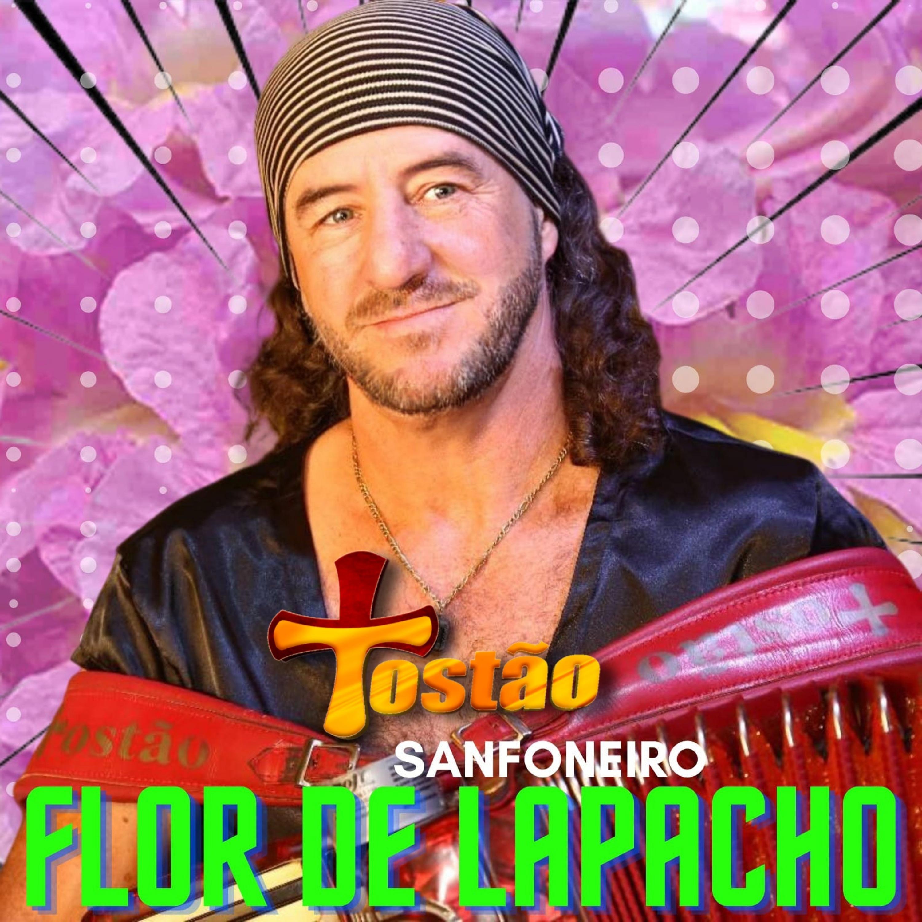Постер альбома Flor de Lapacho