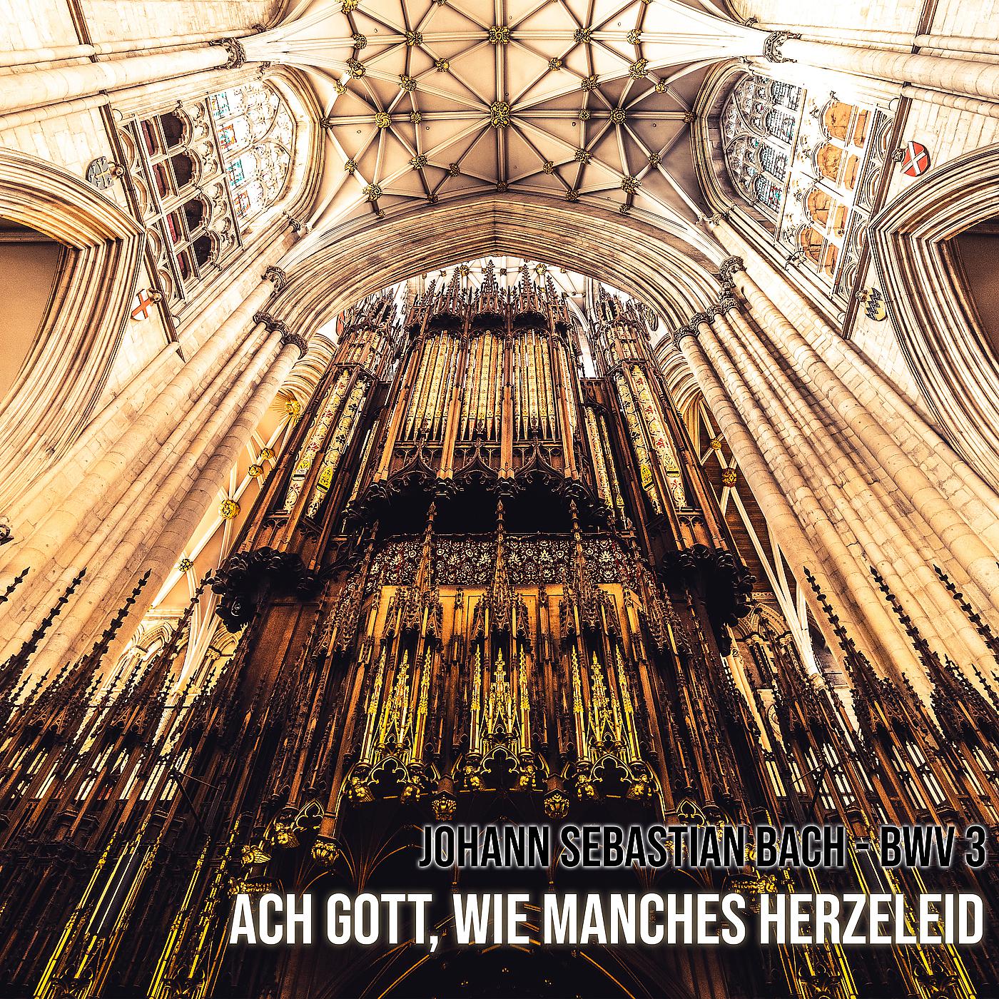 Постер альбома Ach Gott, Wie Manches Herzeleid (Bwv 3)