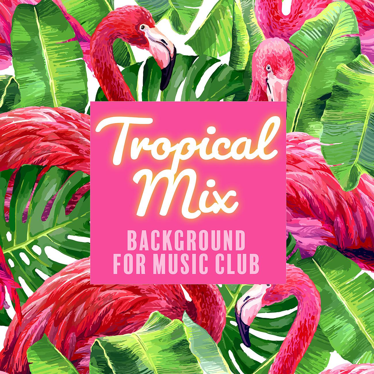 Постер альбома Tropical Mix
