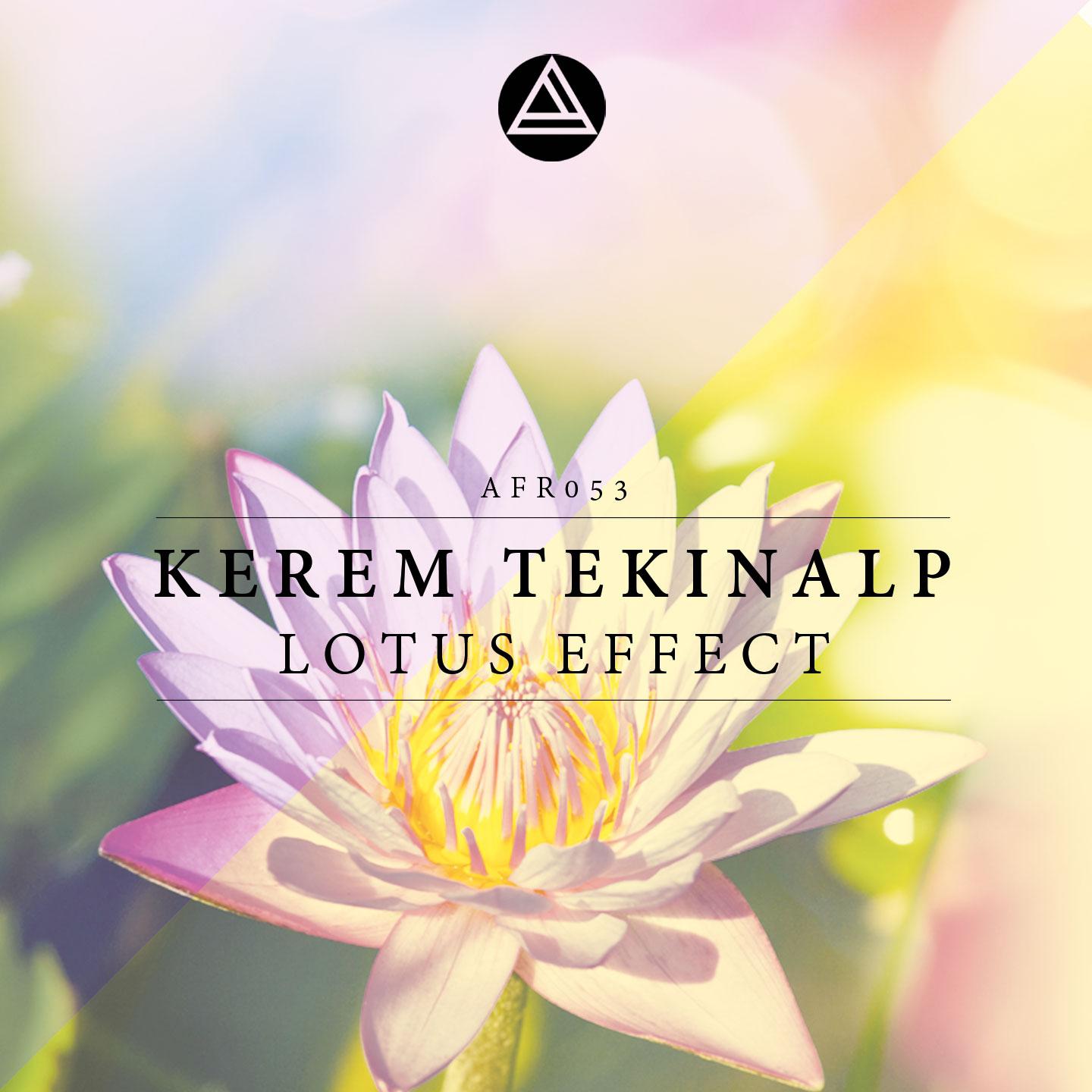 Постер альбома Lotus Effect