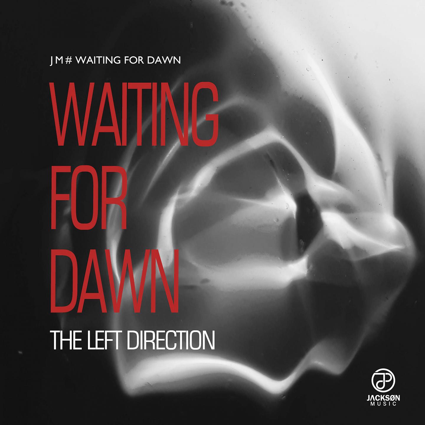 Постер альбома Waiting For Dawn